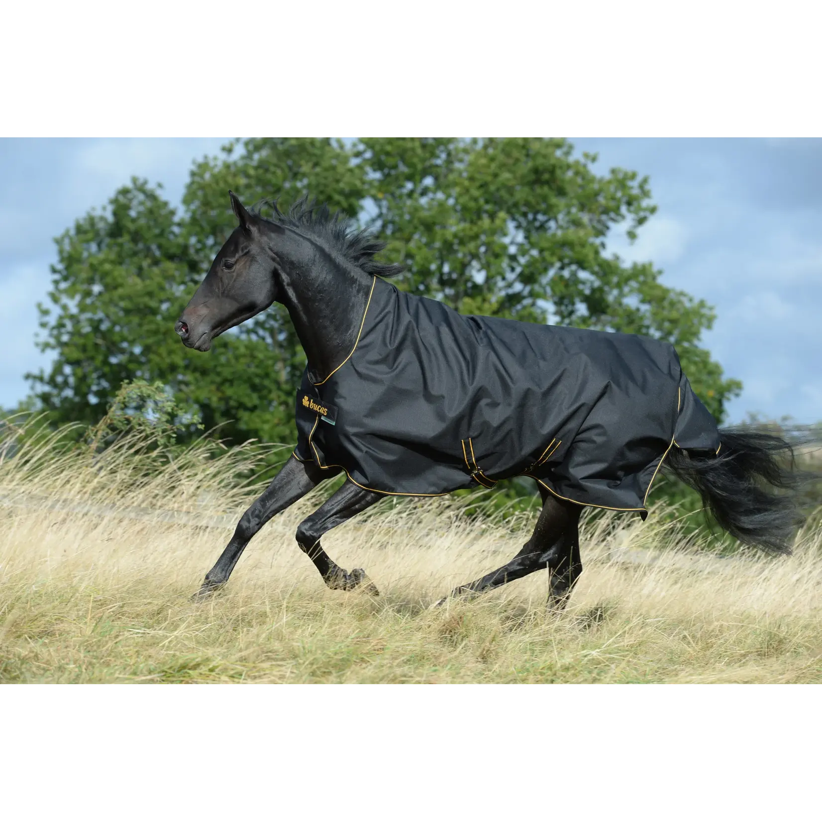 Bucas Bucas Irish Turhout Big Neck Light 50gr