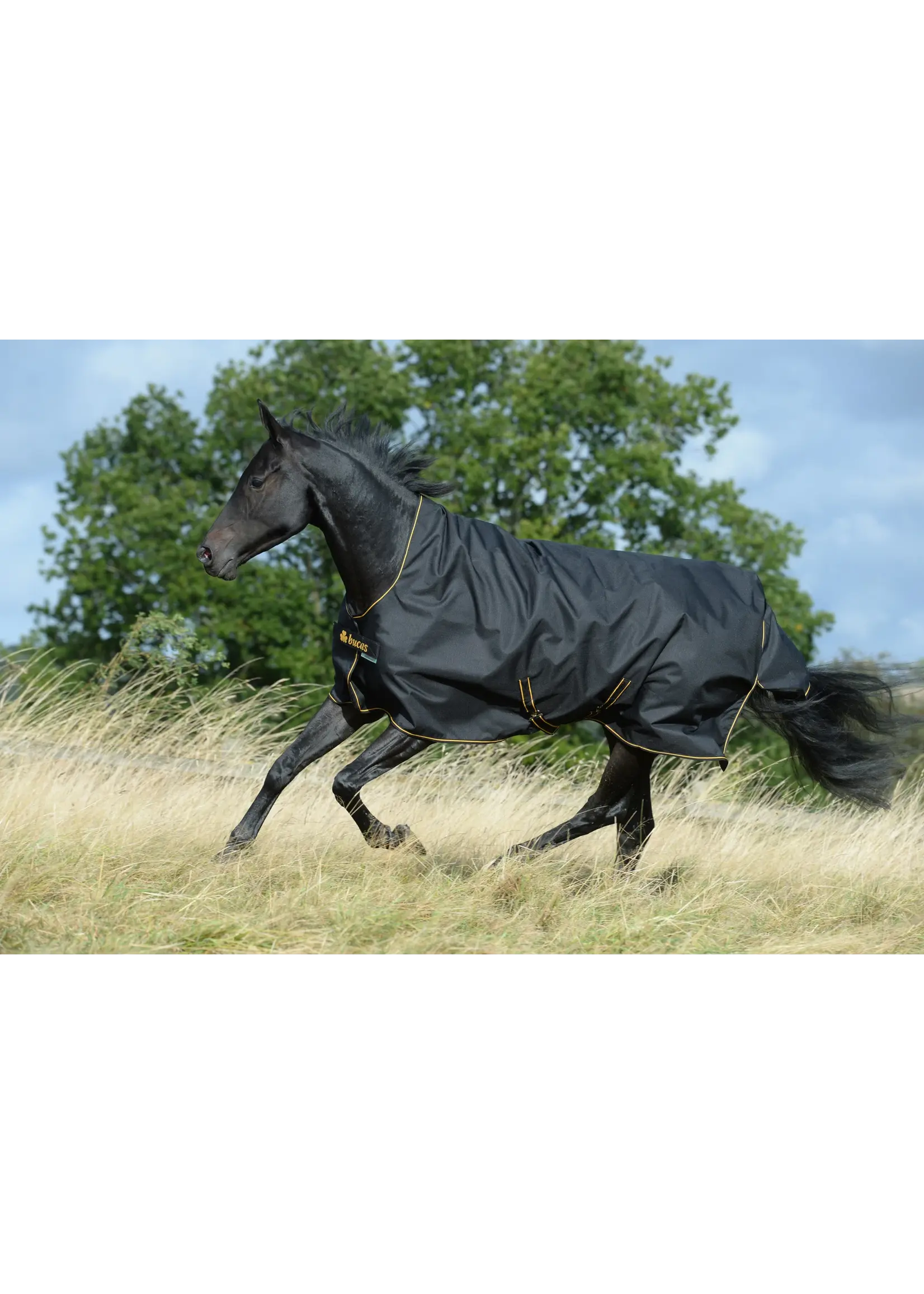 Bucas Bucas Irish Turhout Big Neck Light 50gr