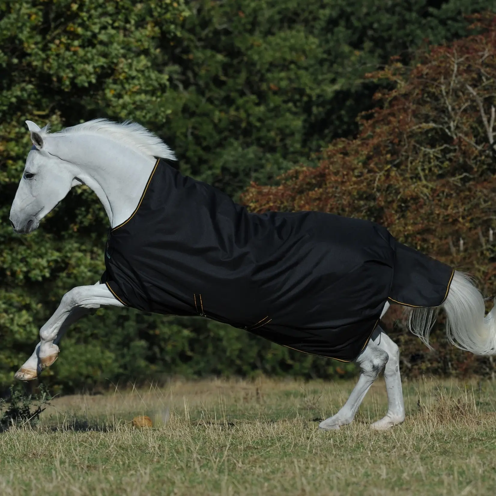 Bucas Bucas Irish Turhout Big Neck Light 50gr