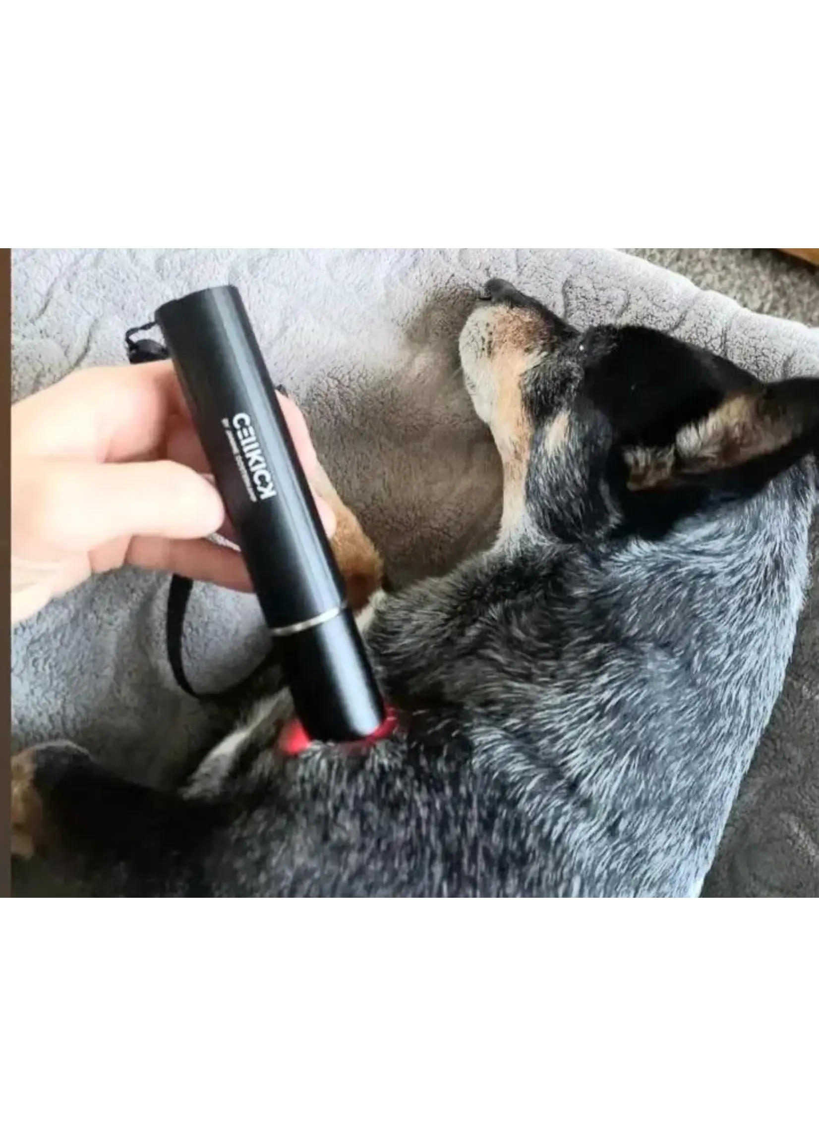 CellKick Handheld Core