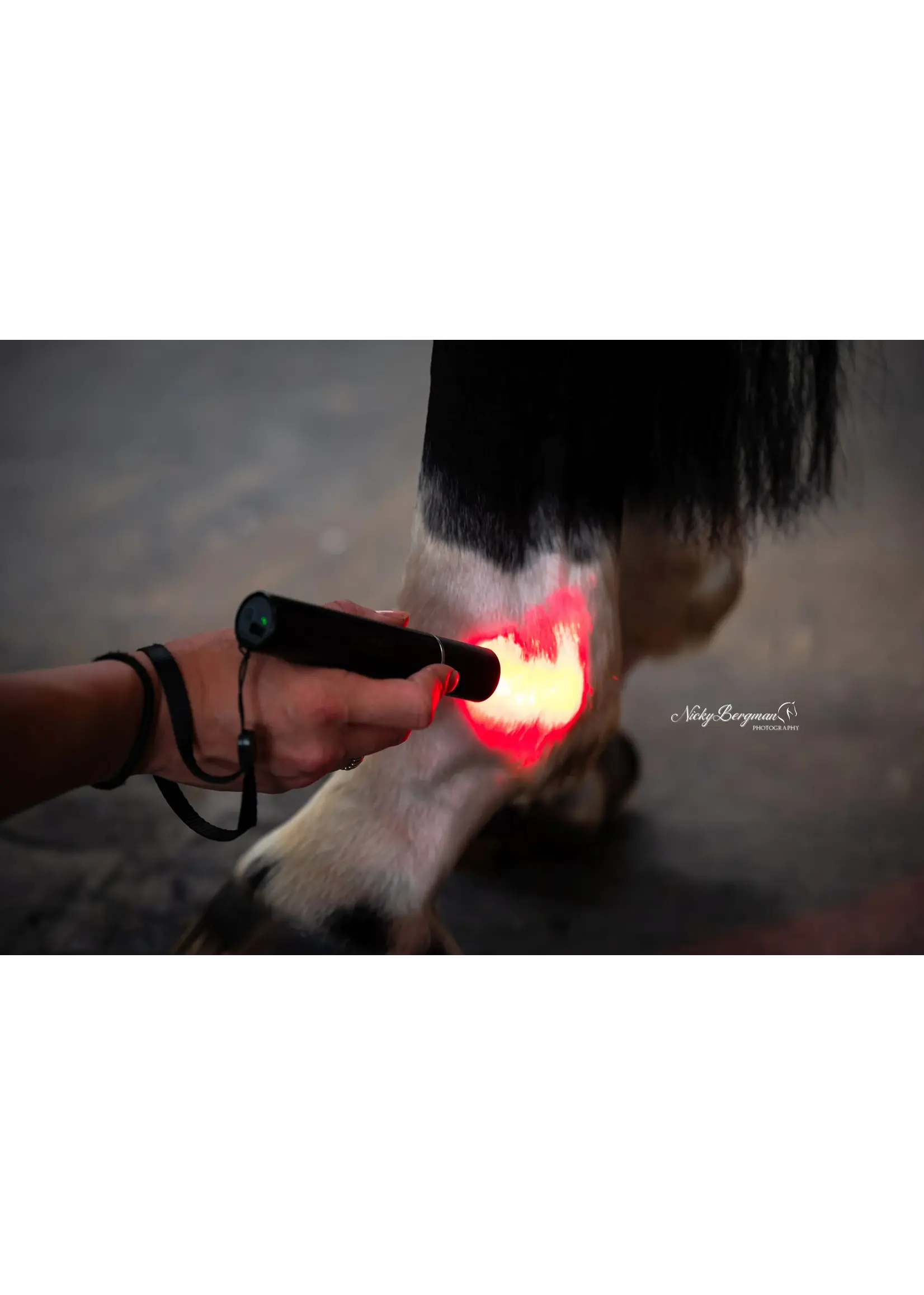 CellKick Handheld Core