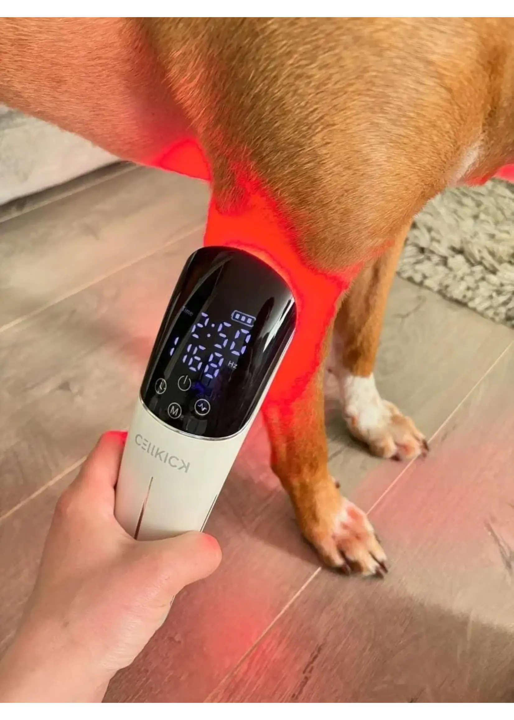 CellKick Handheld Topline