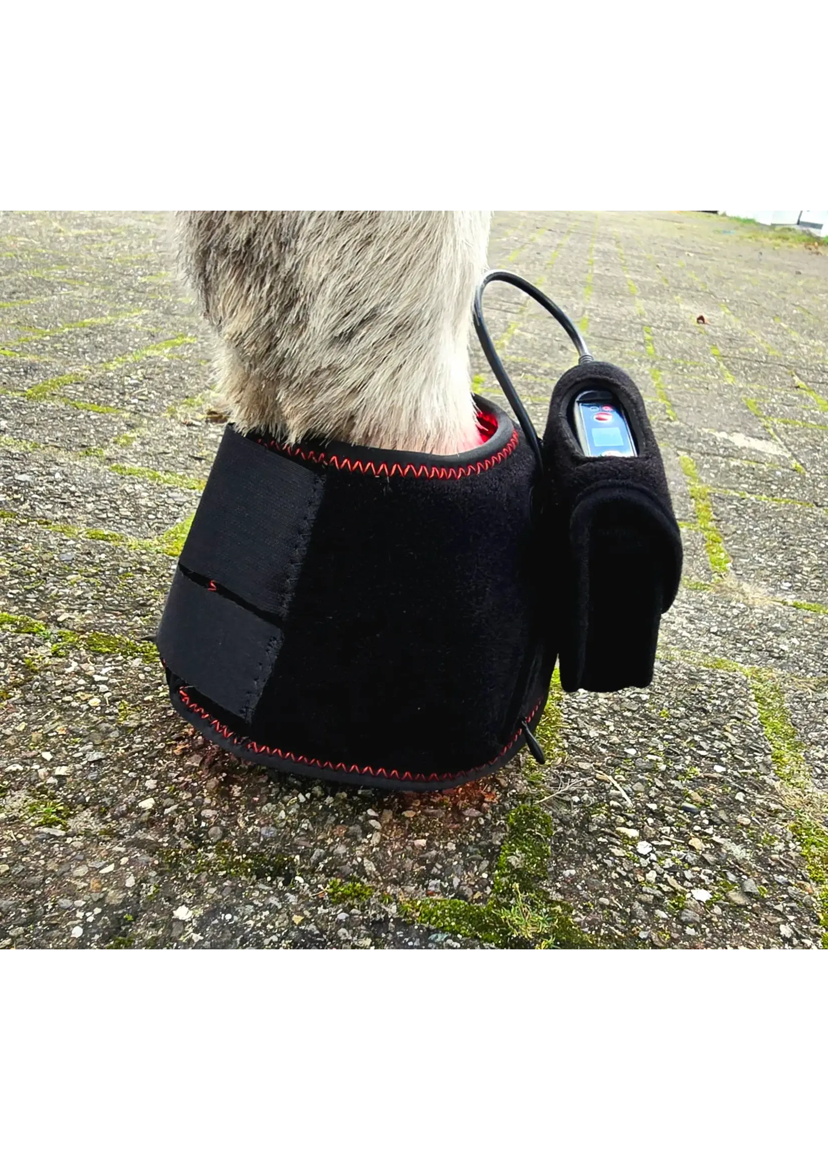 CellKick Hoefpad Set