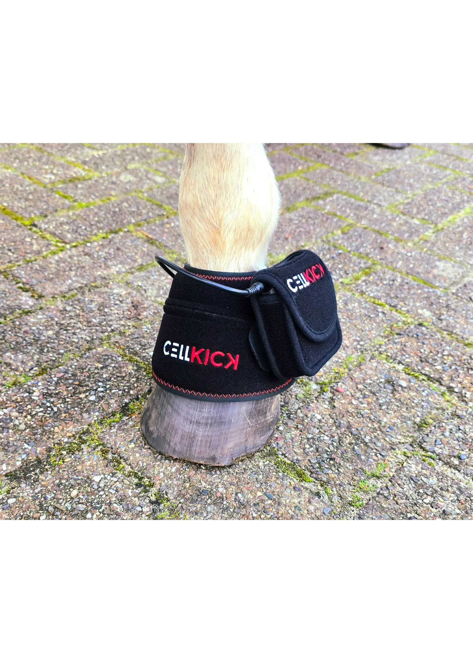 CellKick Hoefpad Set