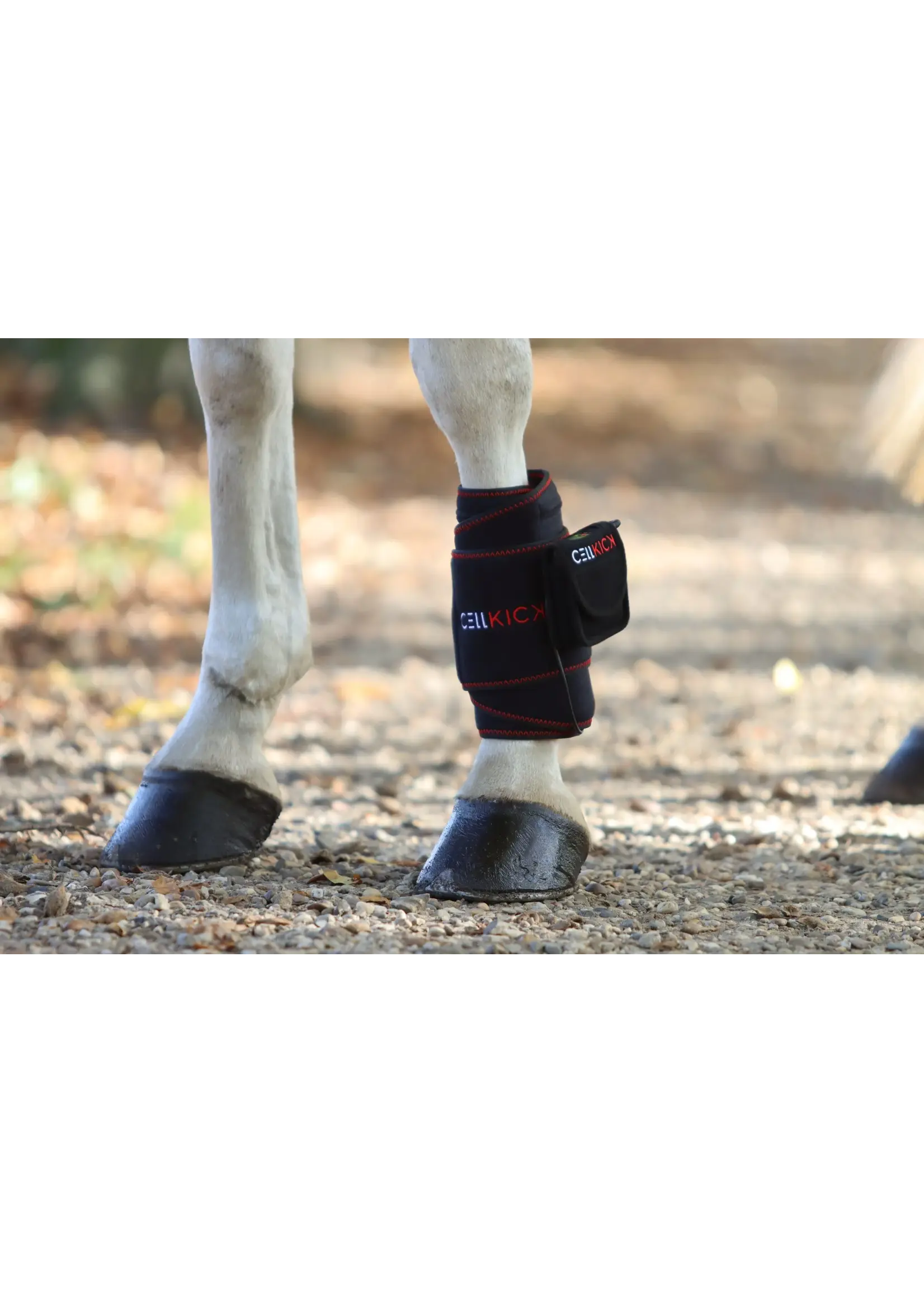 CellKick Beenpad Pro