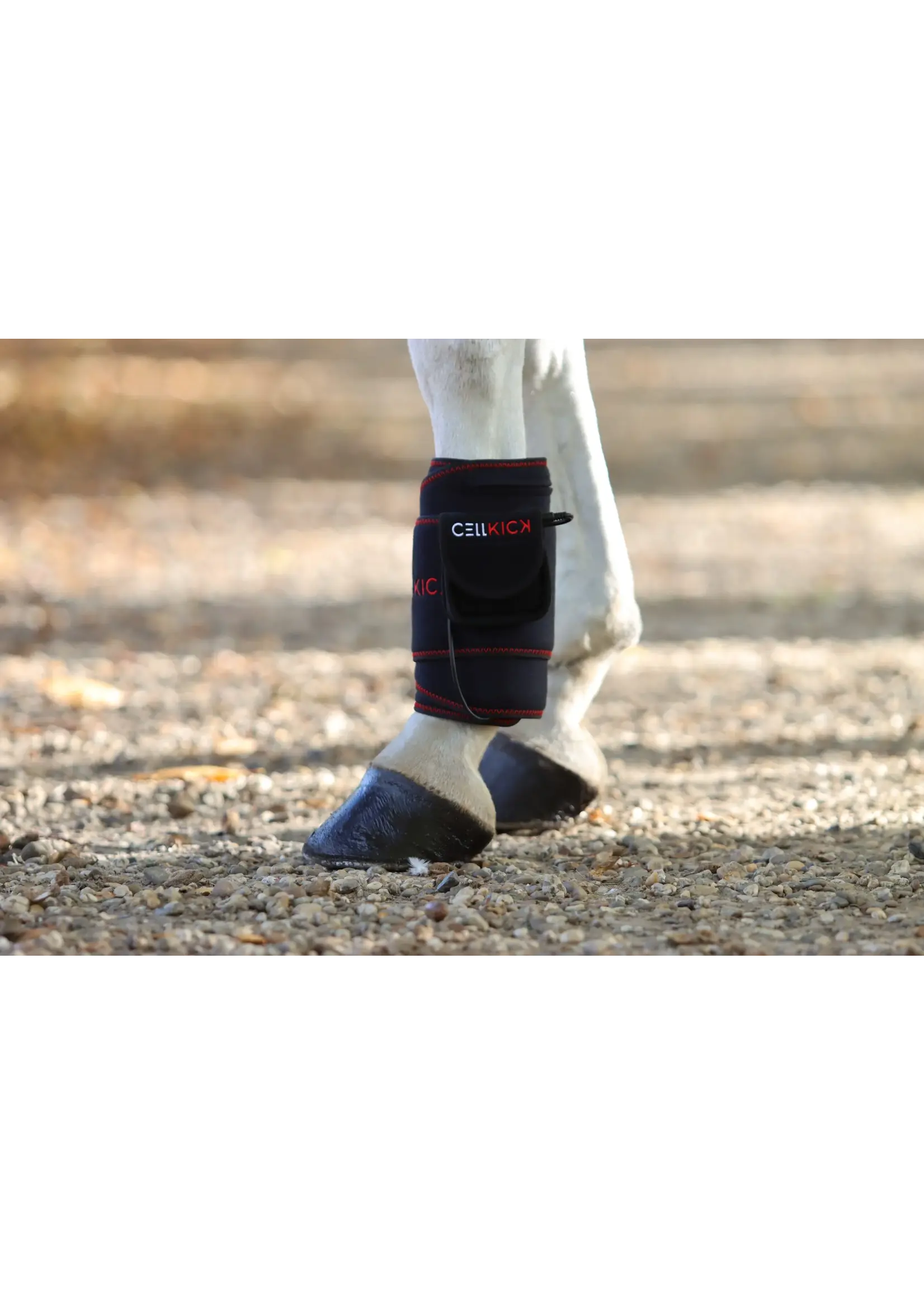 CellKick Beenpad Pro