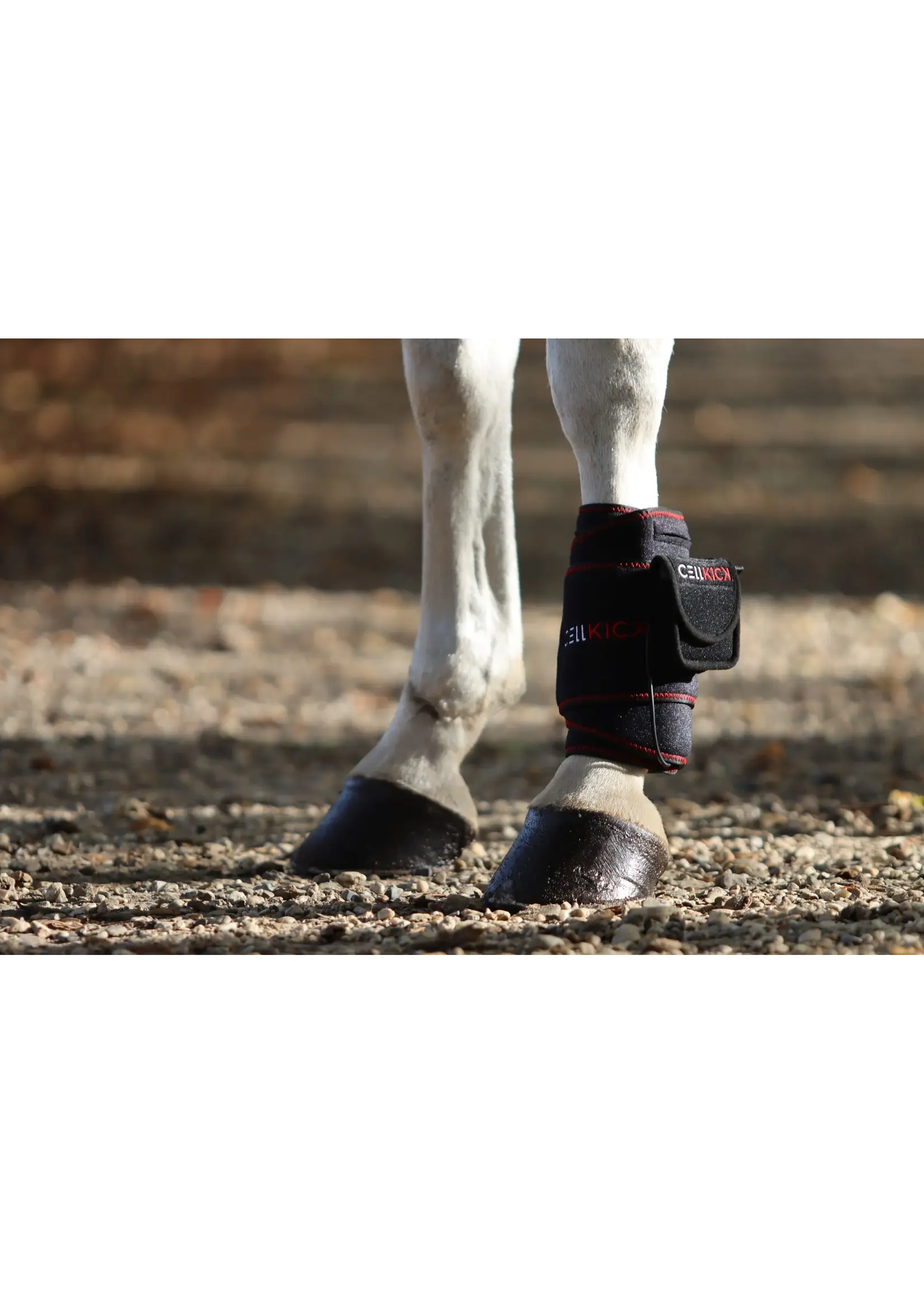 CellKick Beenpad Pro