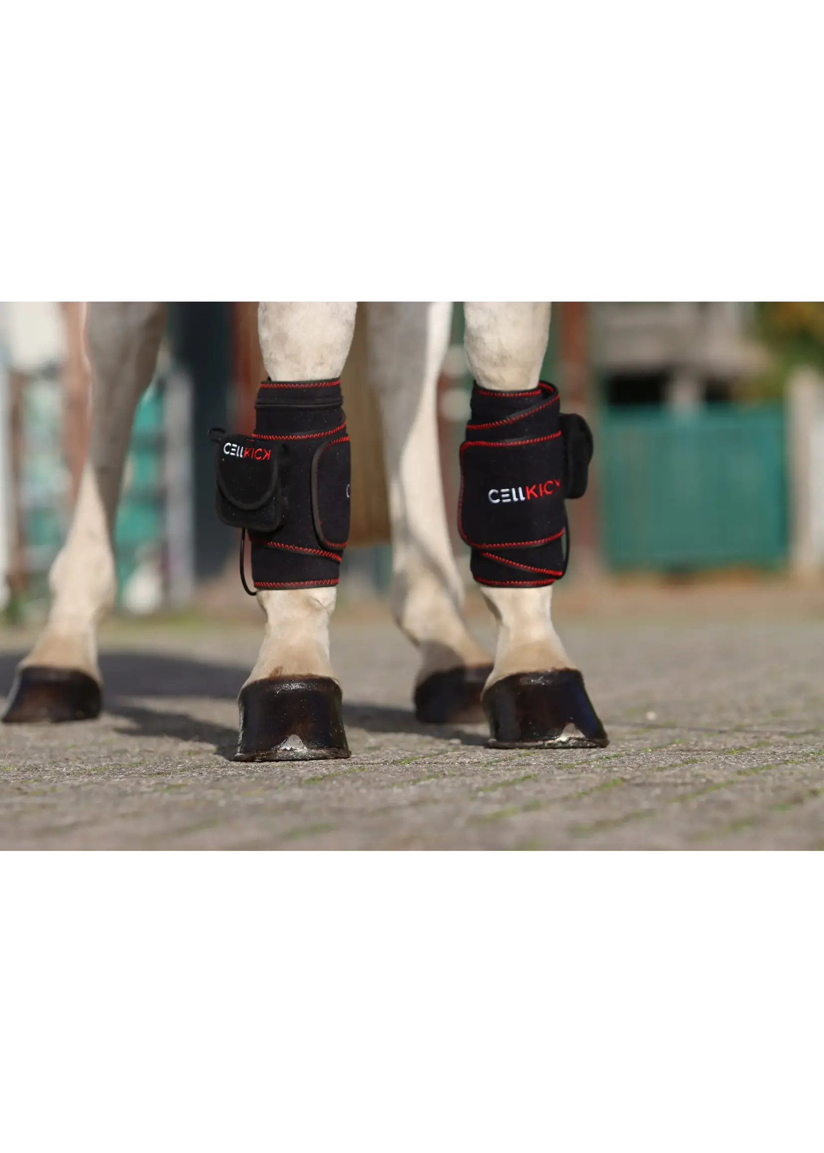 CellKick Beenpad Pro