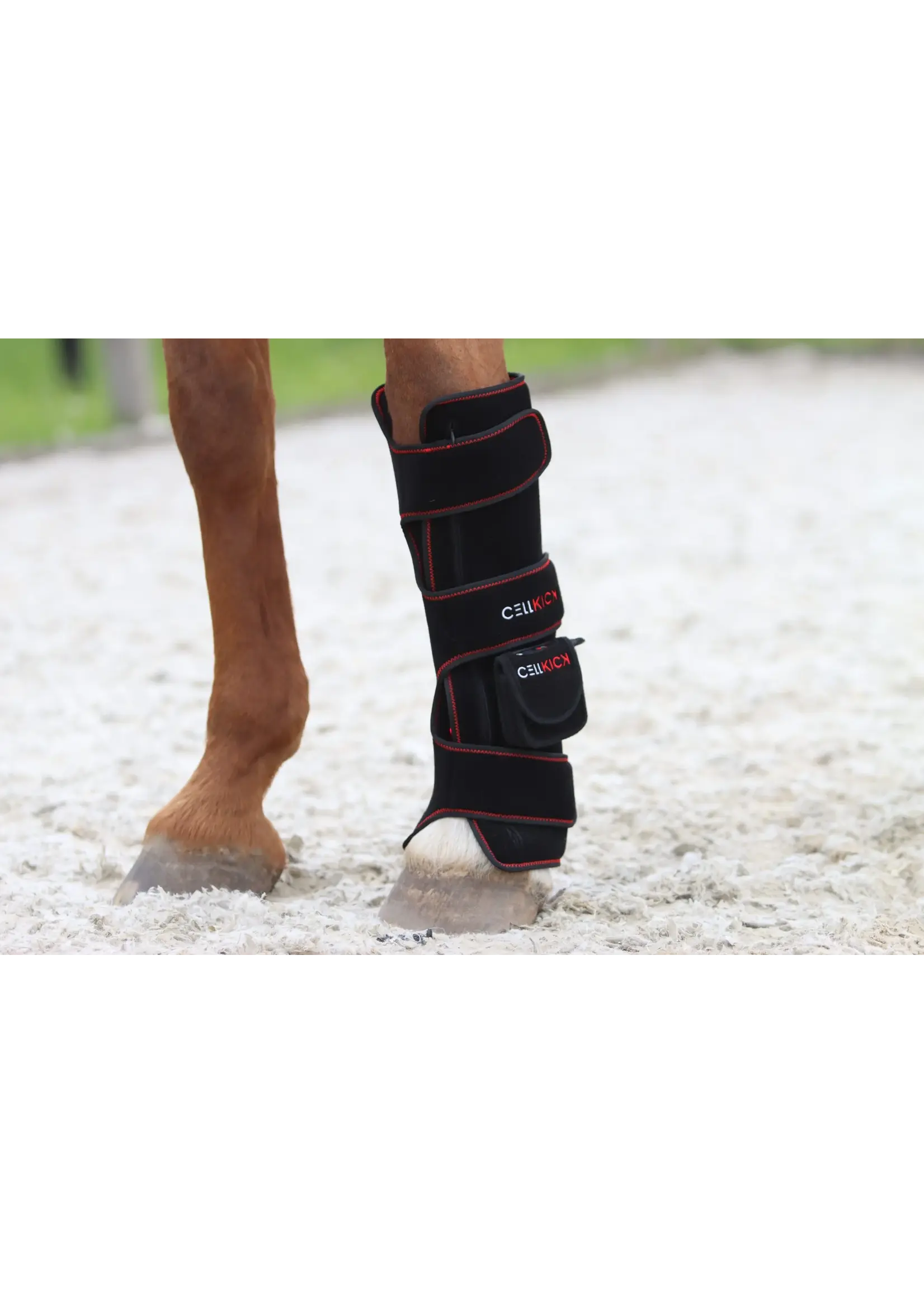 CellKick Beenpad Ultimate