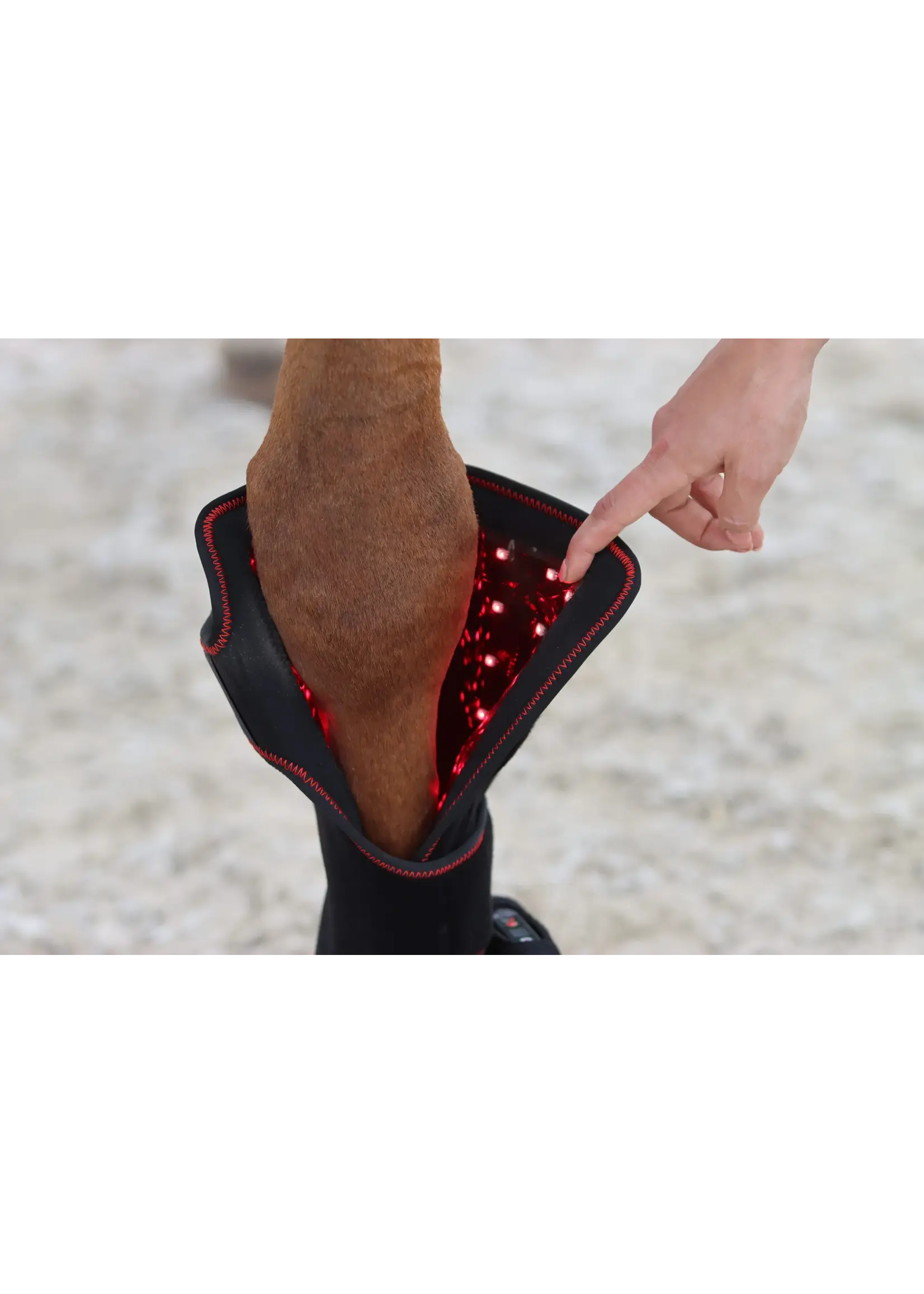 CellKick Beenpad Ultimate