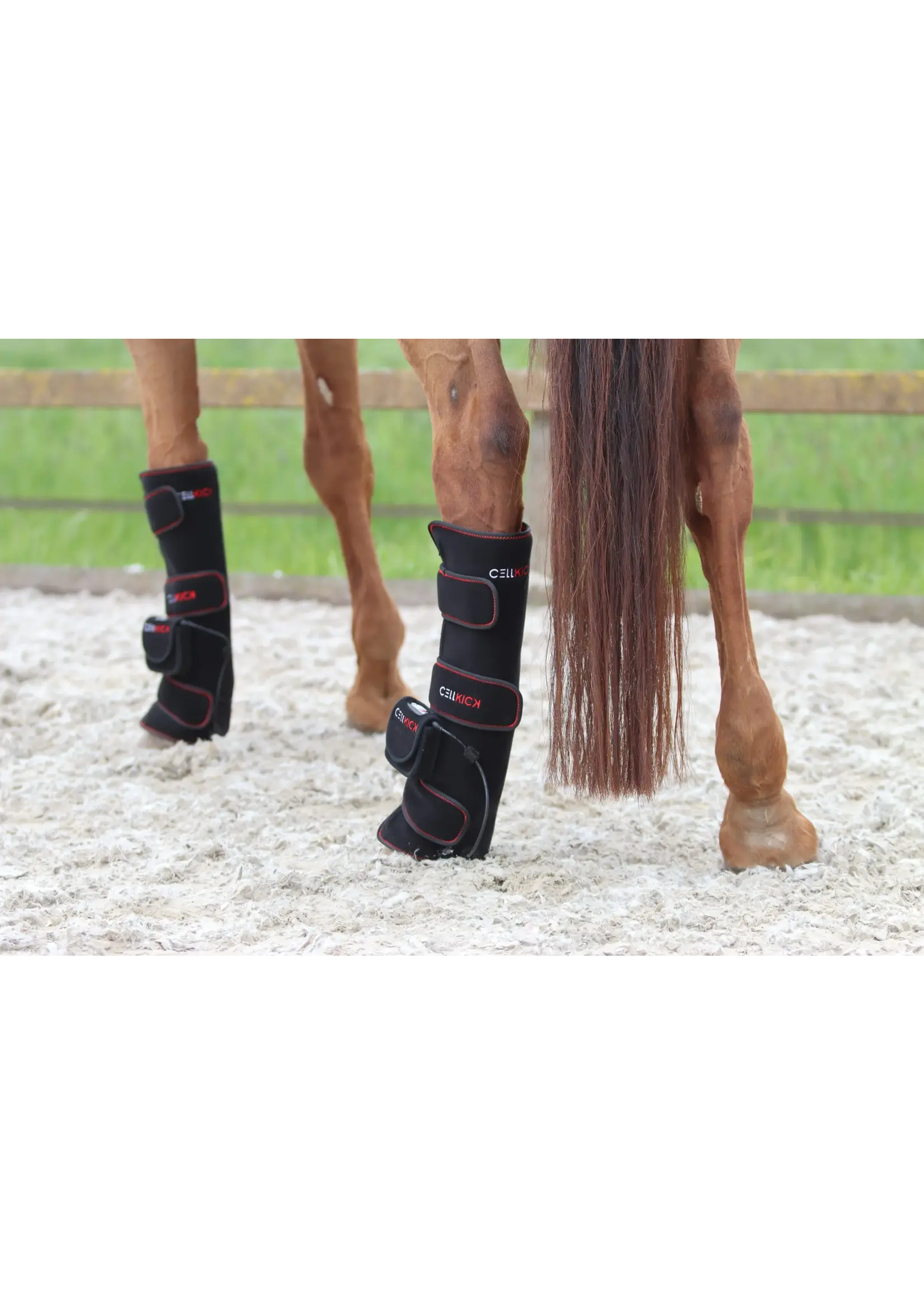 CellKick Beenpad Ultimate