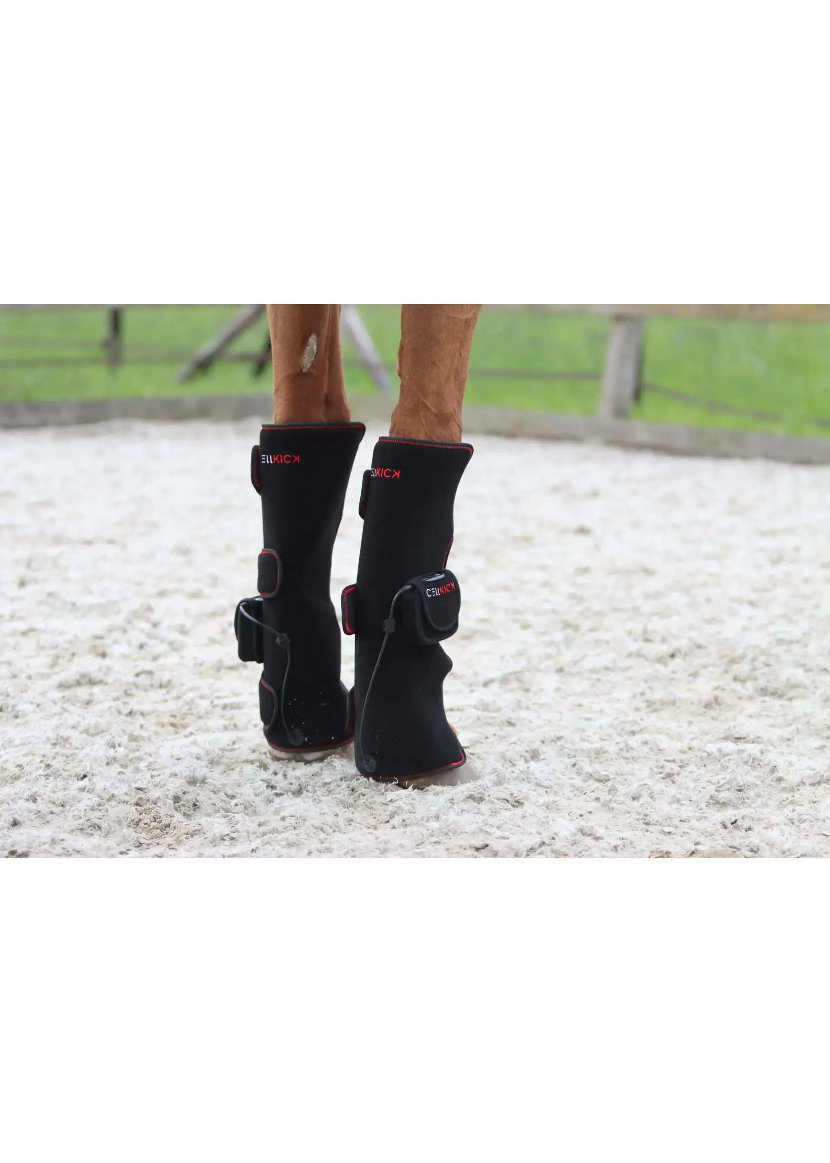 CellKick Beenpad Ultimate Set