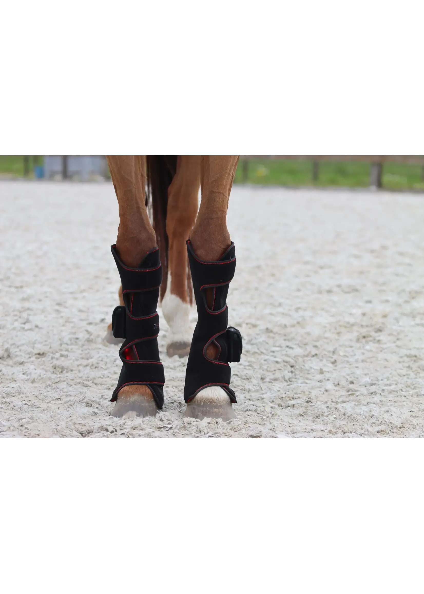 CellKick Beenpad Ultimate Set