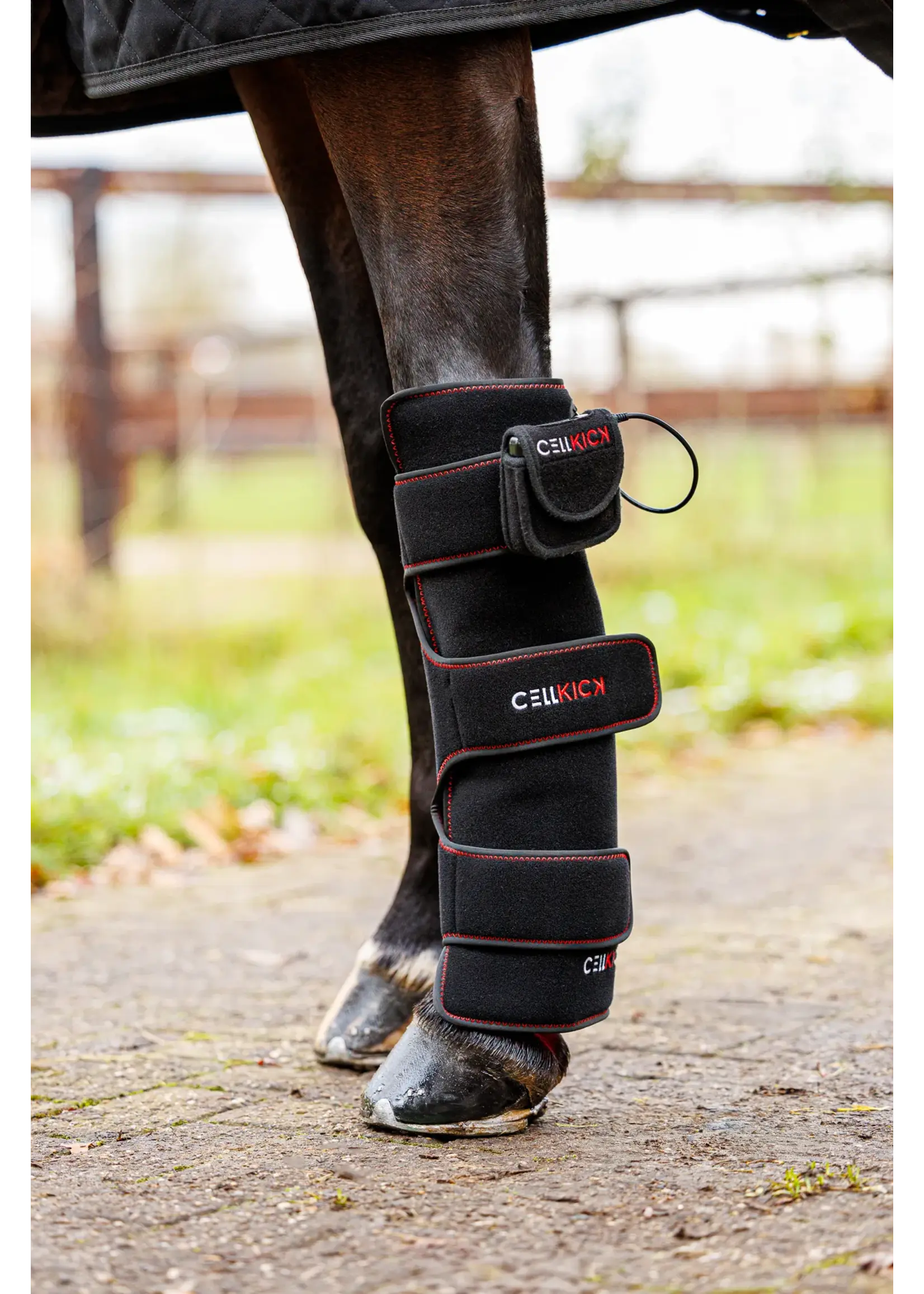 CellKick Beenpad Ultimate Set