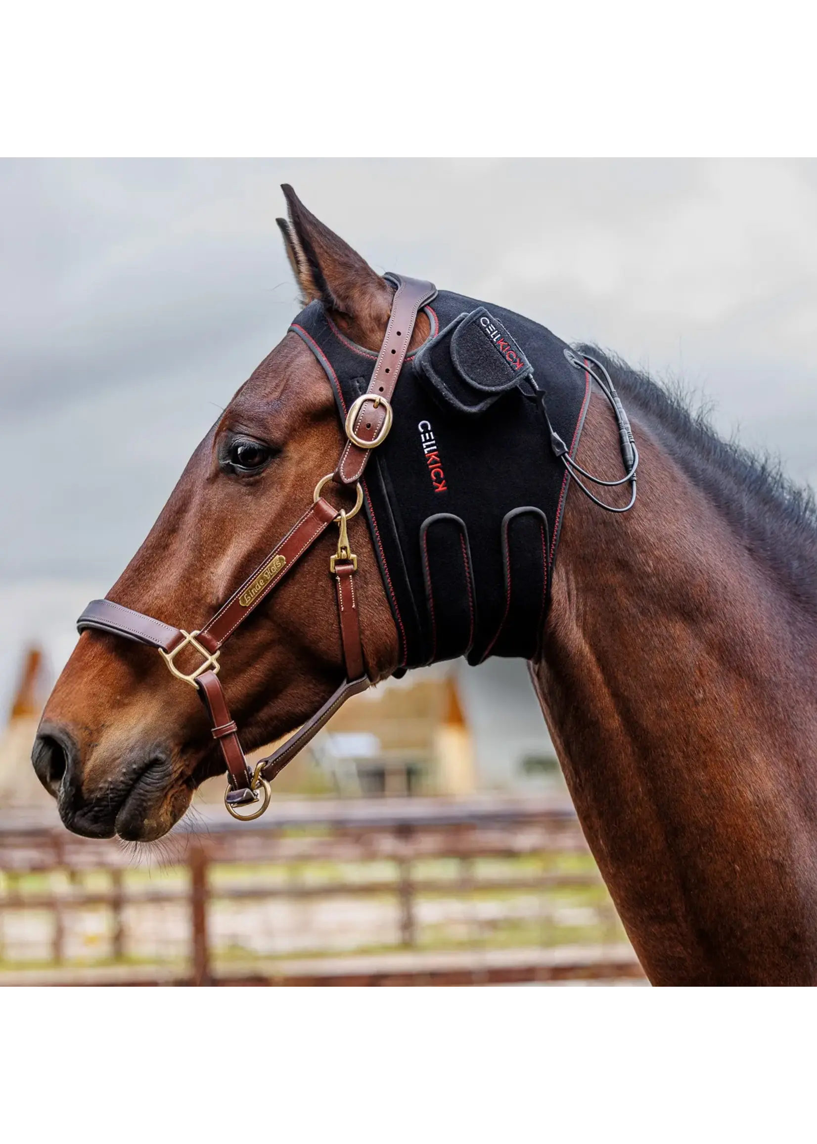 CellKick Kopstuk Pad