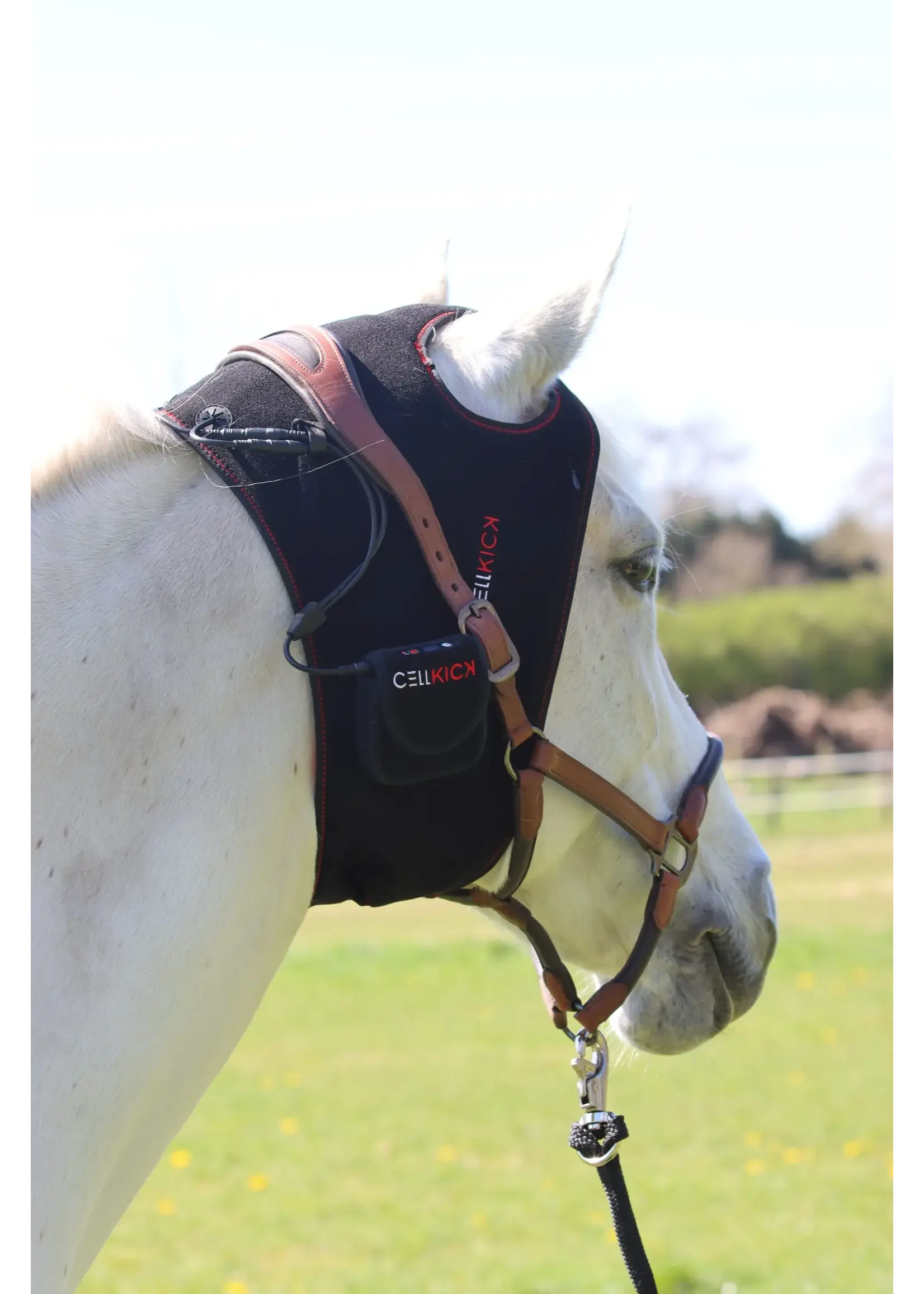 CellKick Kopstuk Pad