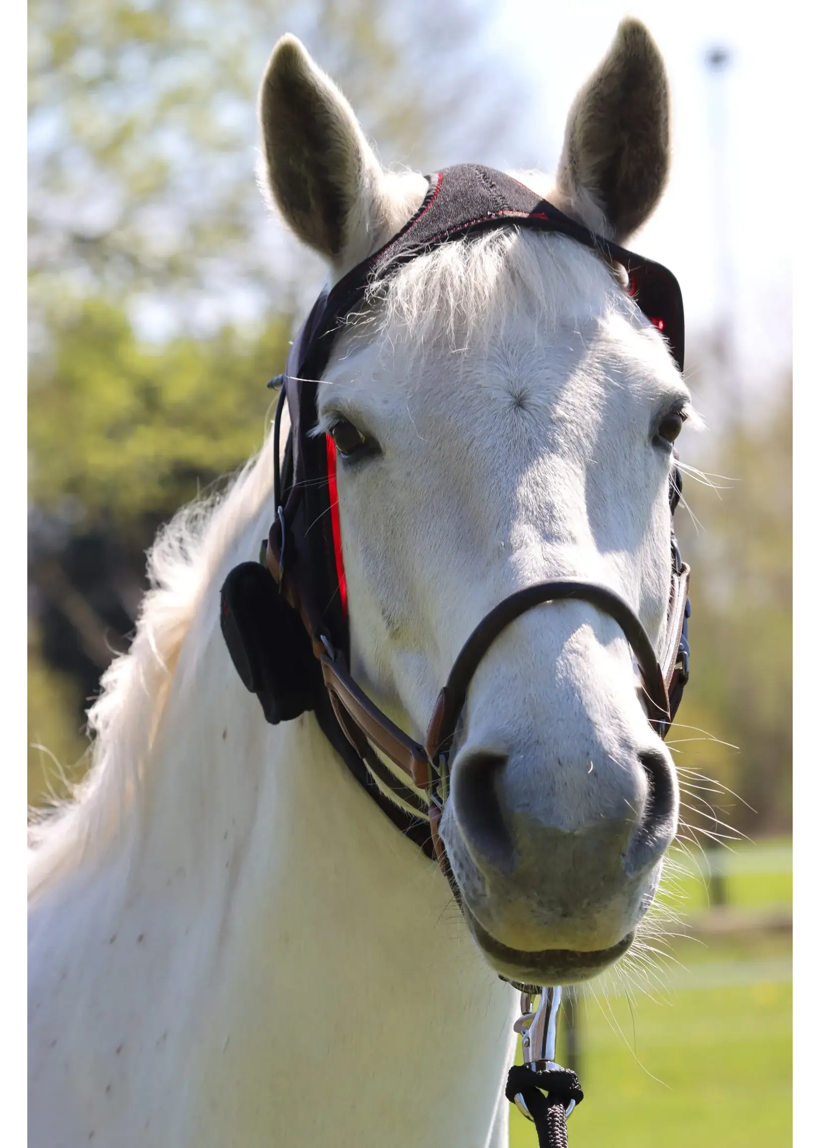 CellKick Kopstuk Pad