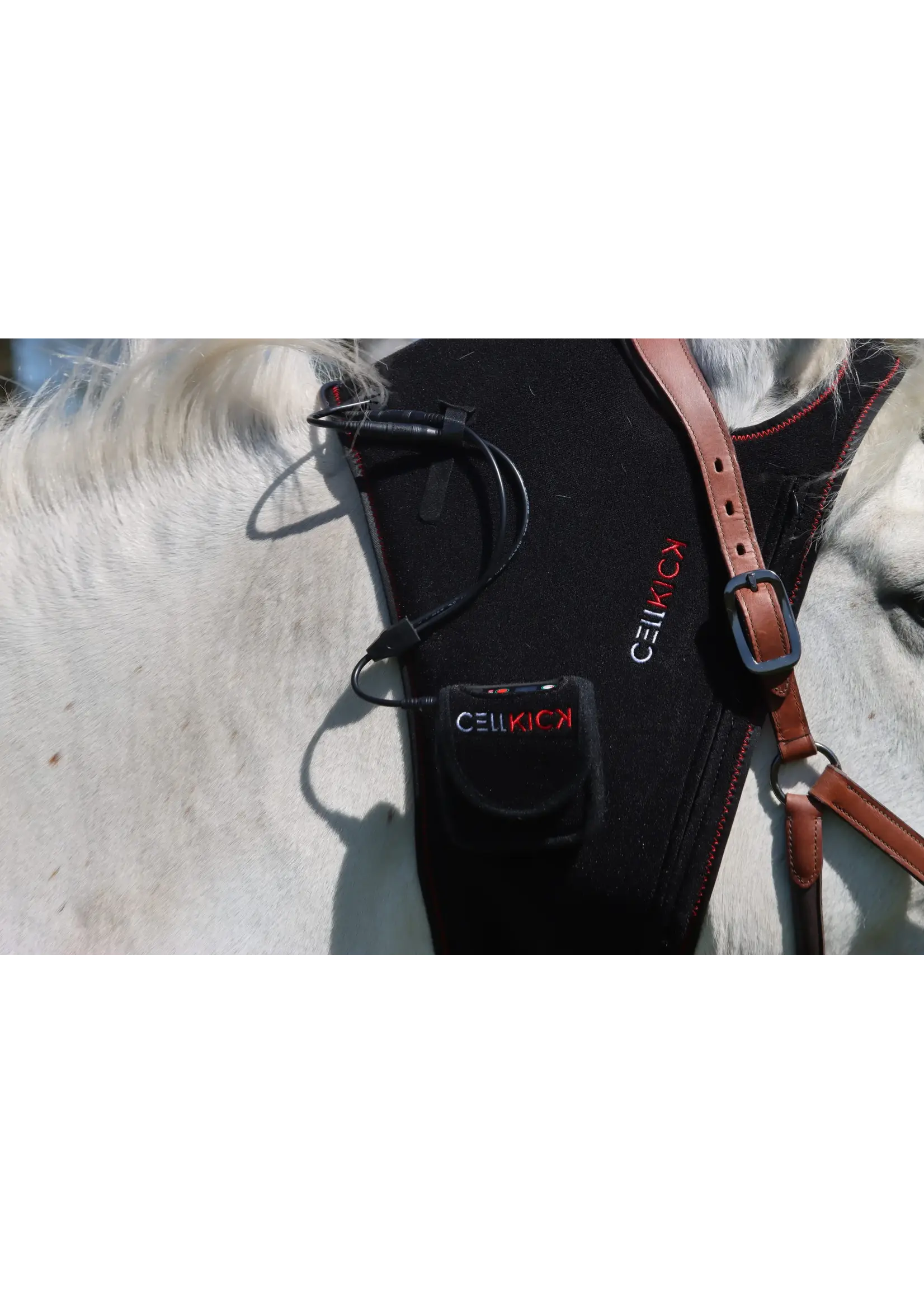 CellKick Kopstuk Pad