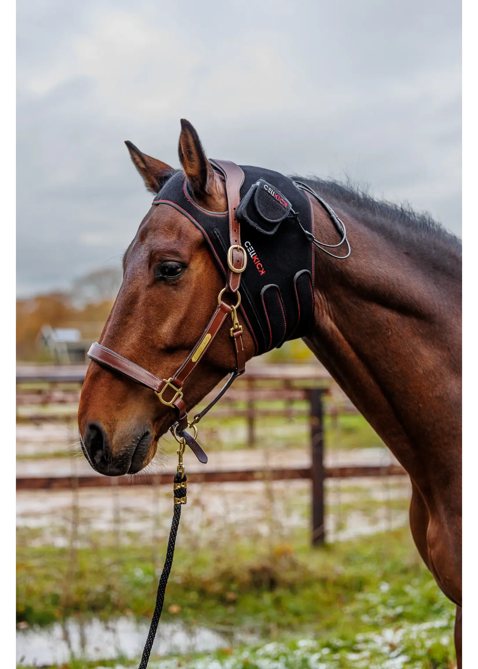 CellKick Kopstuk Pad