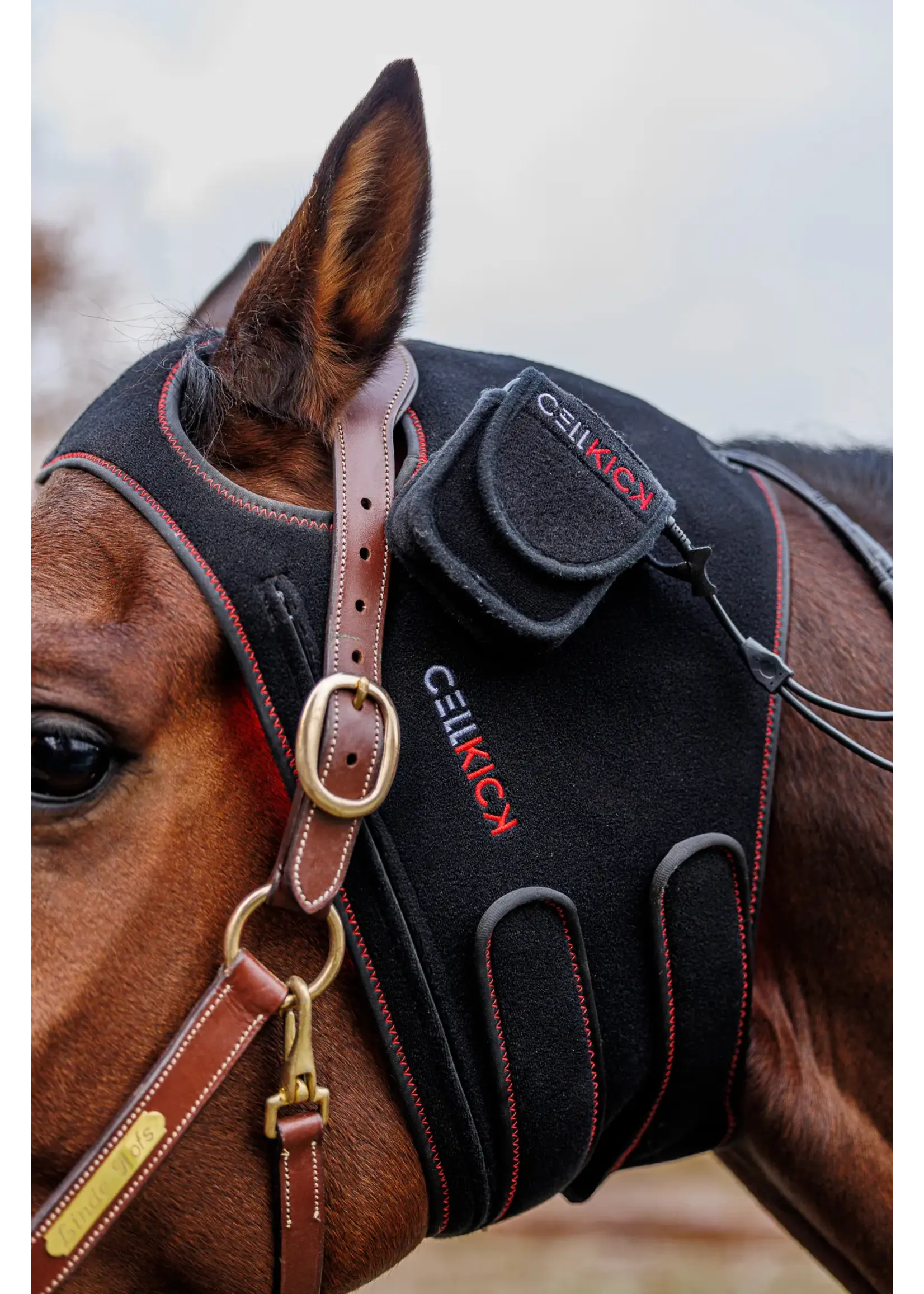 CellKick Kopstuk Pad