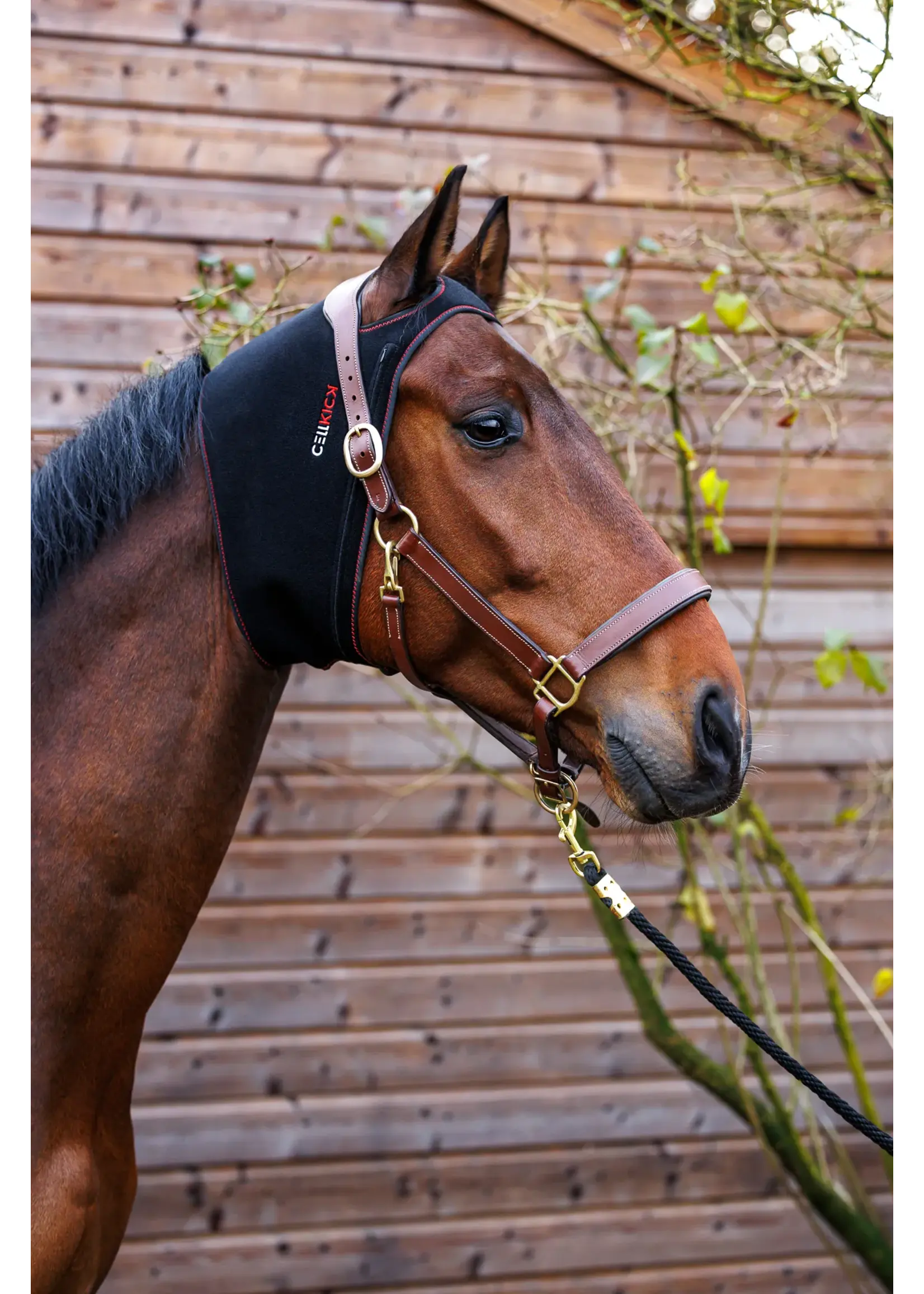 CellKick Kopstuk Pad