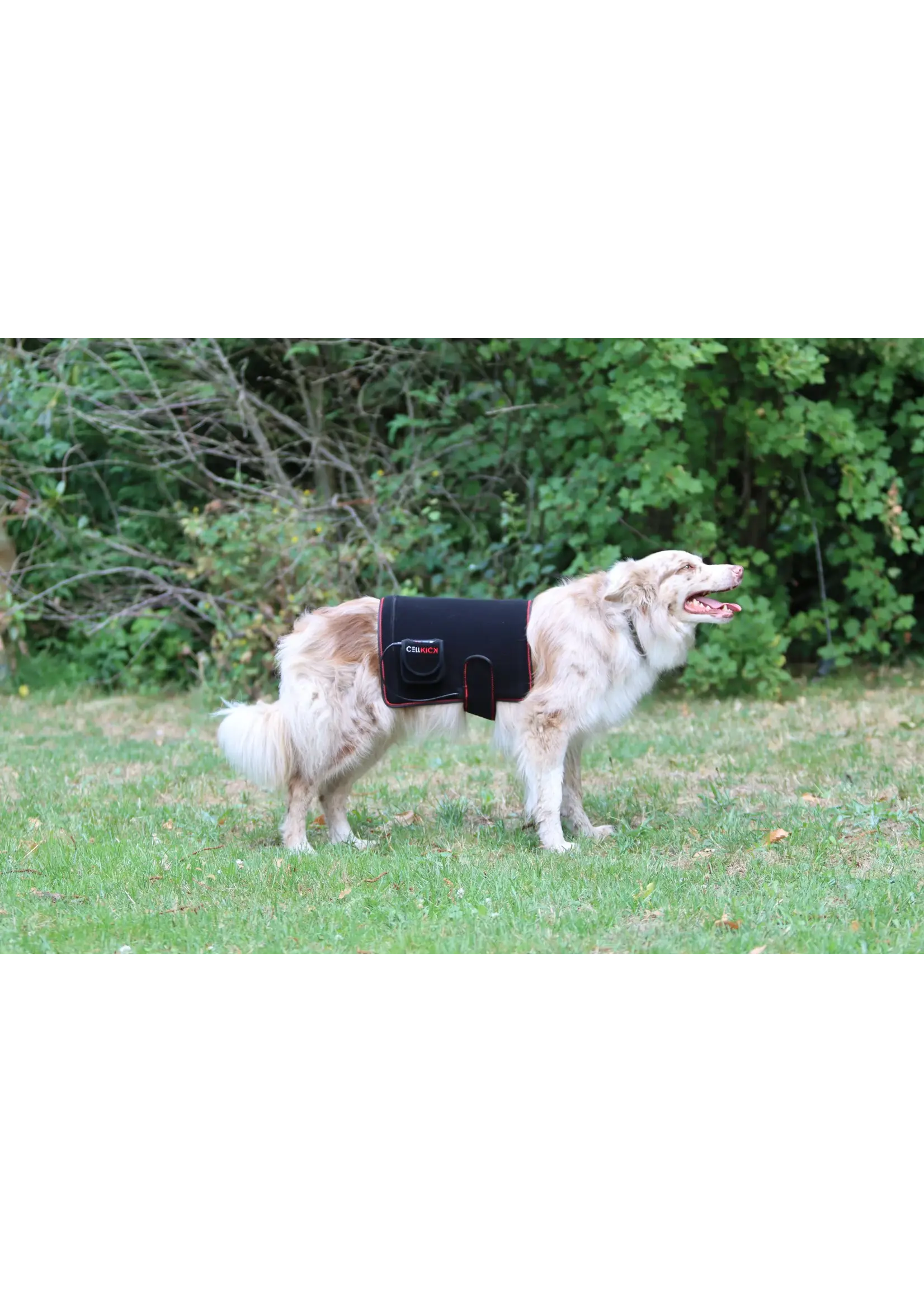 CellKick Hondenpad