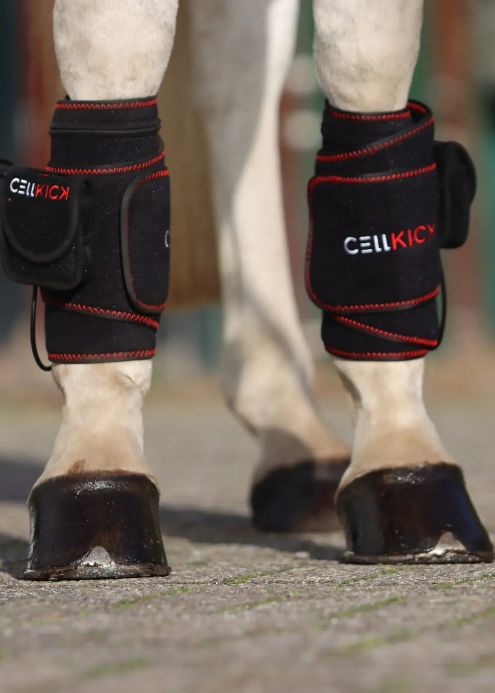 CellKick Beenpad Pro Set