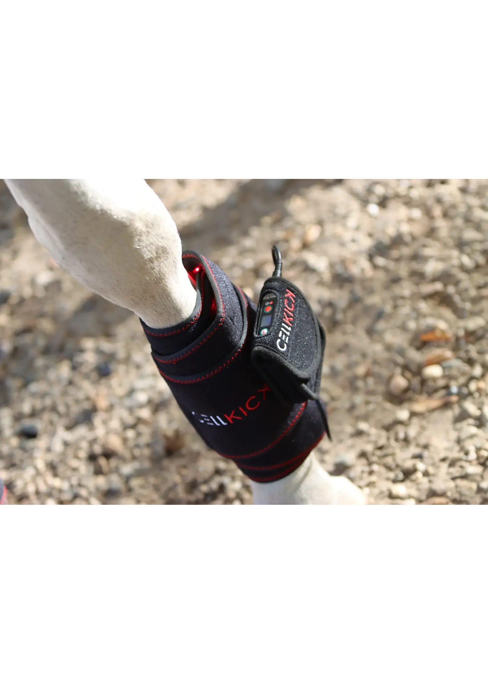 CellKick Combideal Pro