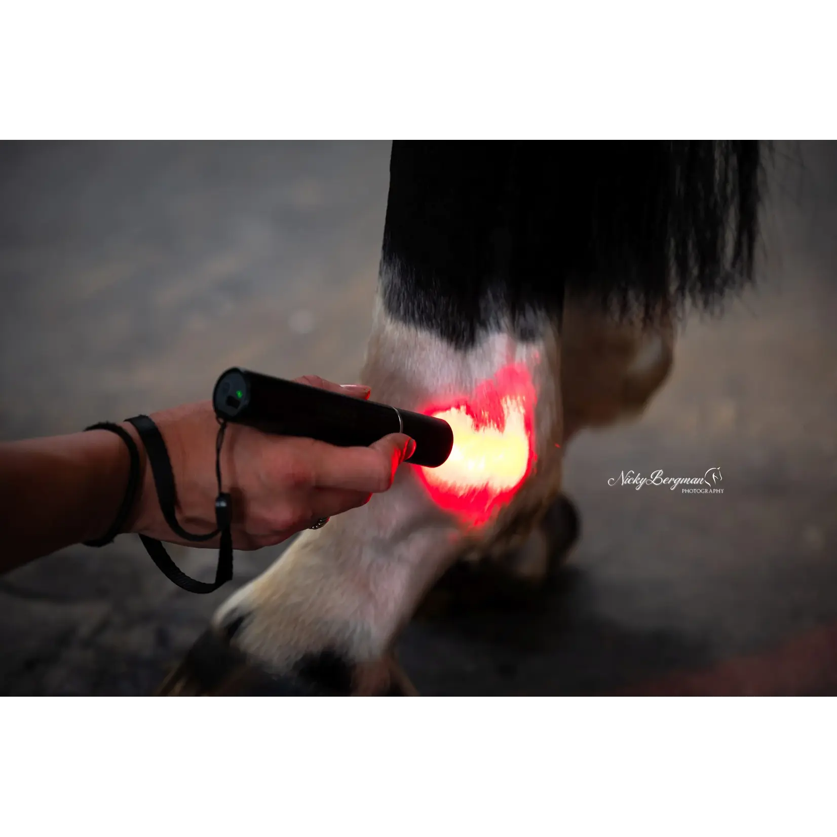 CellKick Combideal Pro