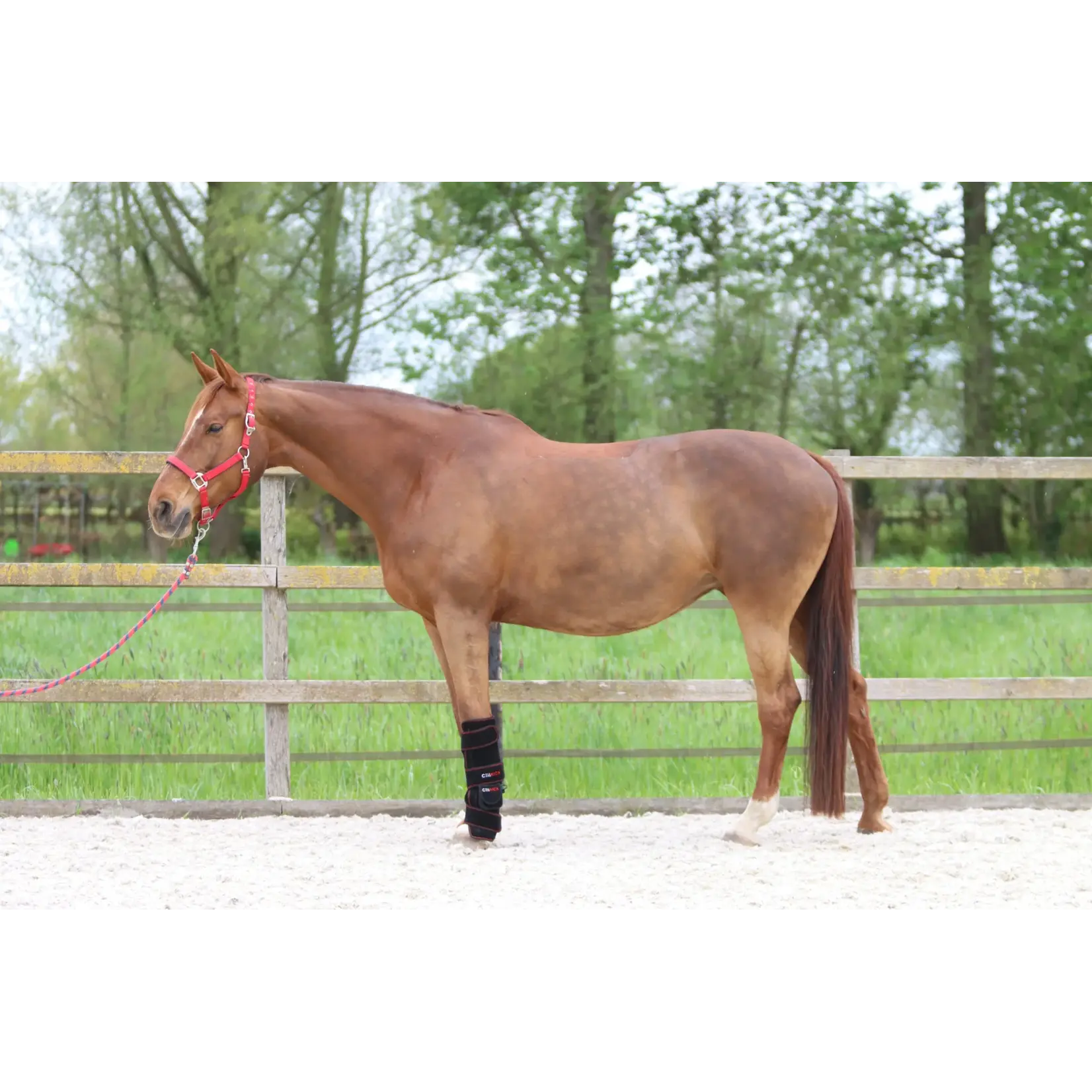 CellKick Combideal Ultimate