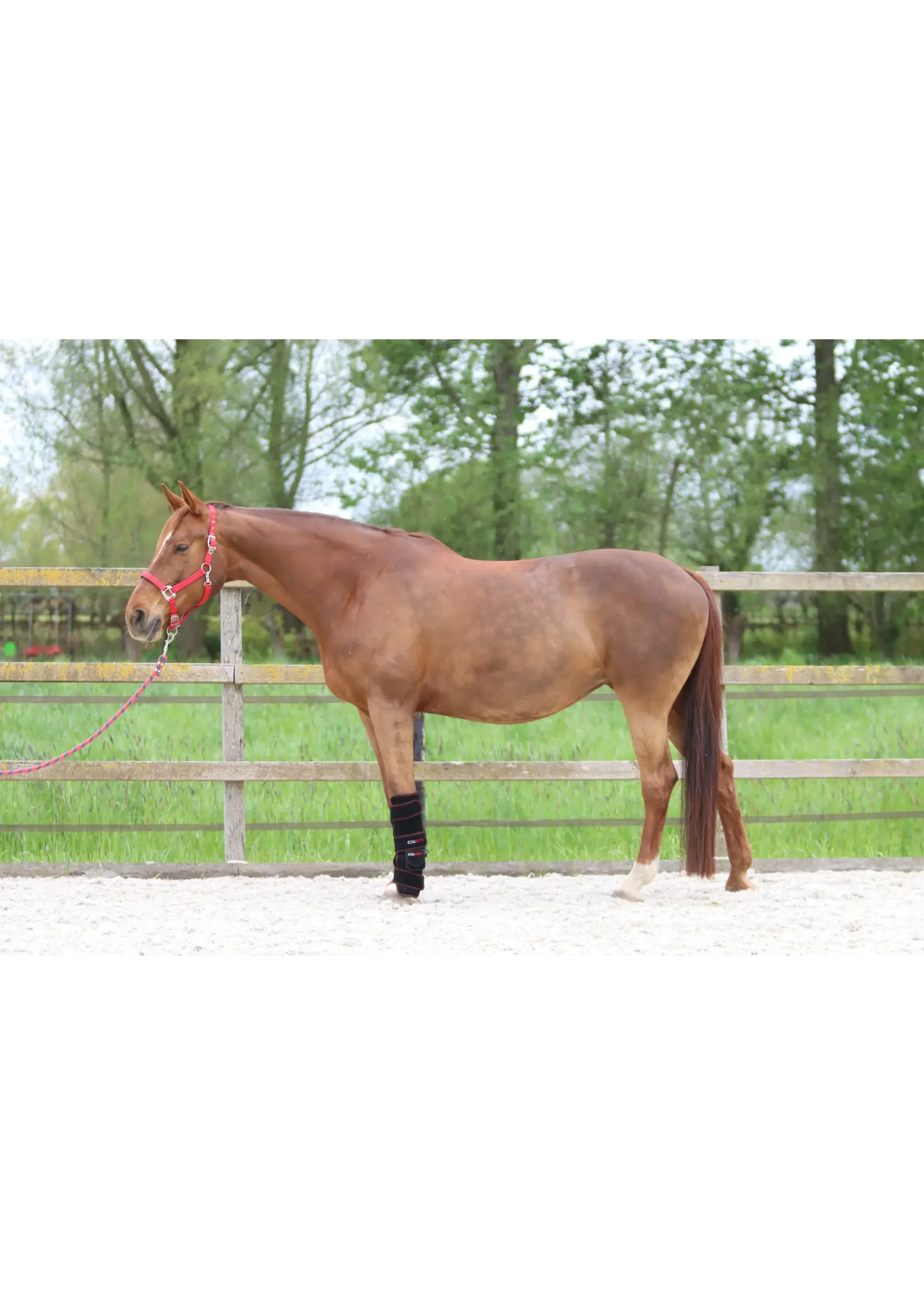 CellKick Combideal Ultimate