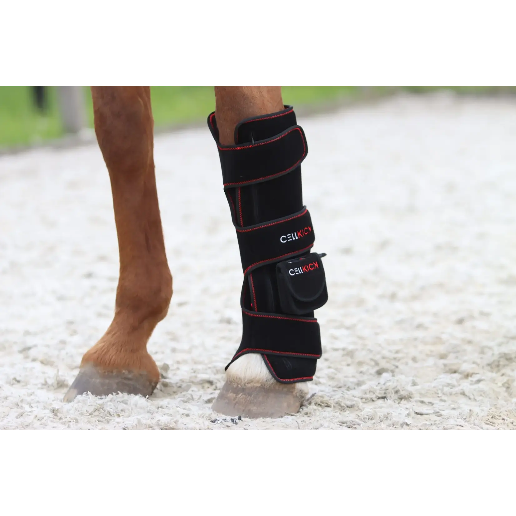 CellKick Combideal Ultimate