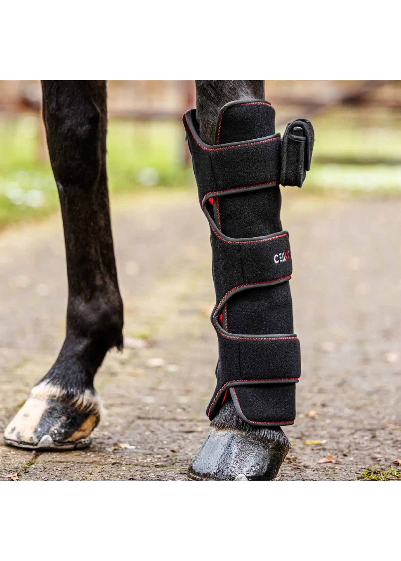 CellKick Combideal Ultimate