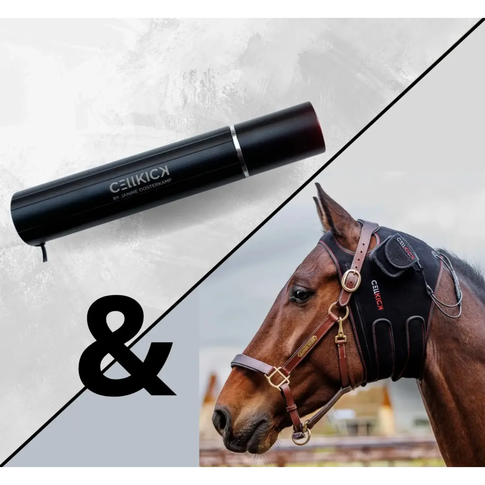 CellKick Combideal Kopstuk