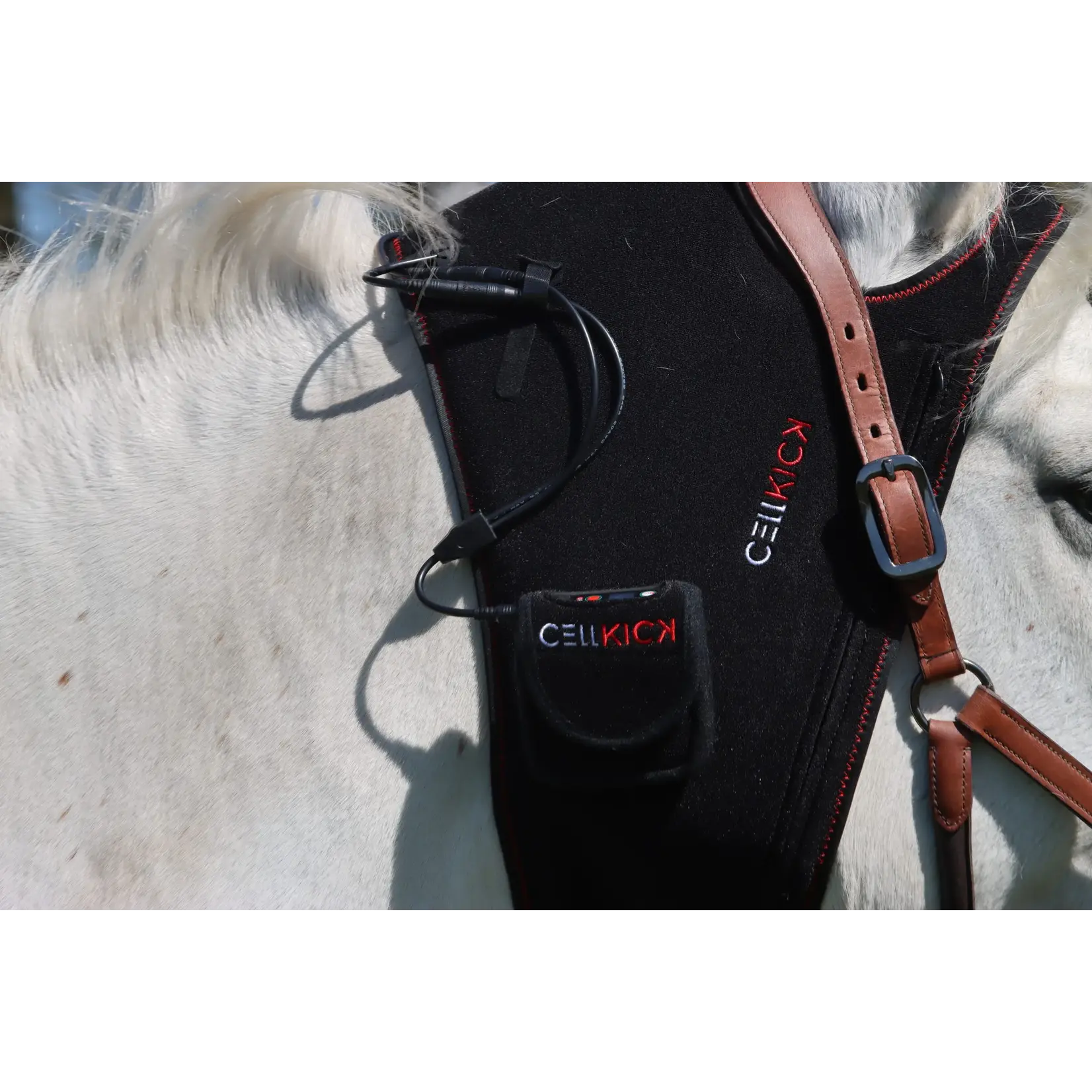 CellKick Combideal Kopstuk