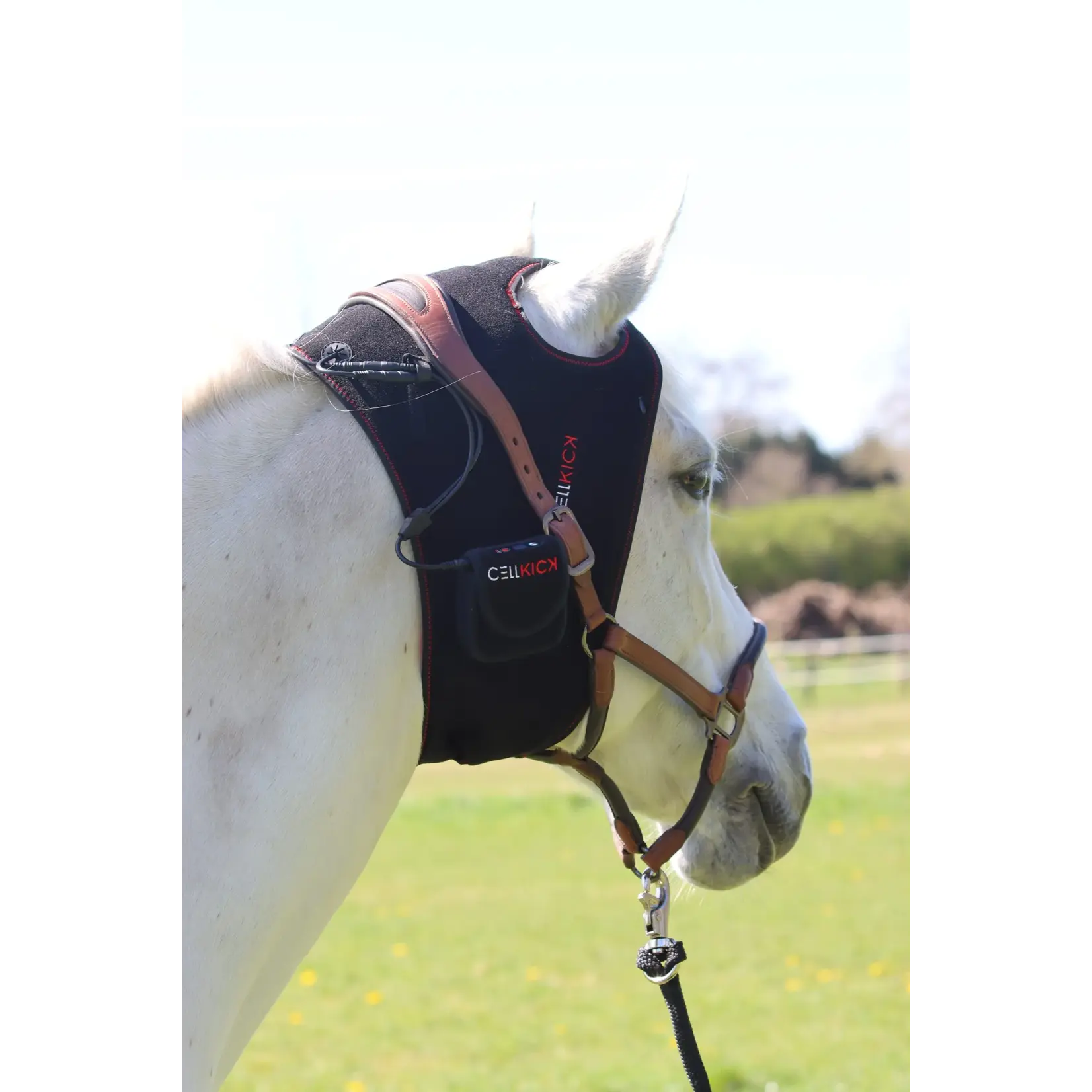 CellKick Combideal Kopstuk