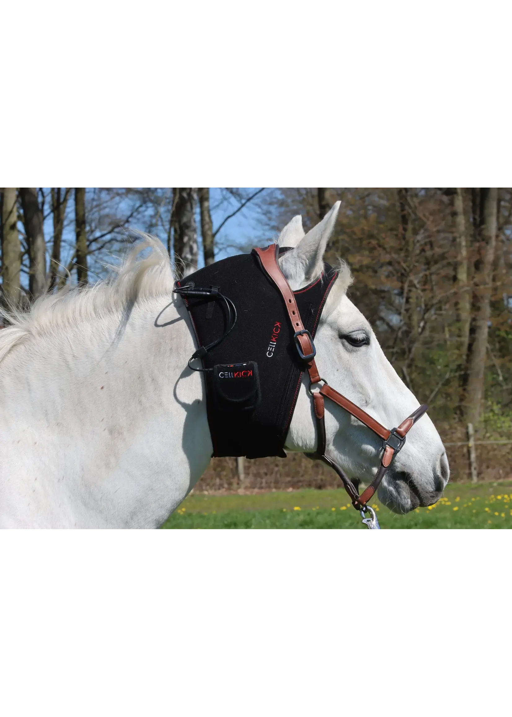 CellKick Combideal Kopstuk