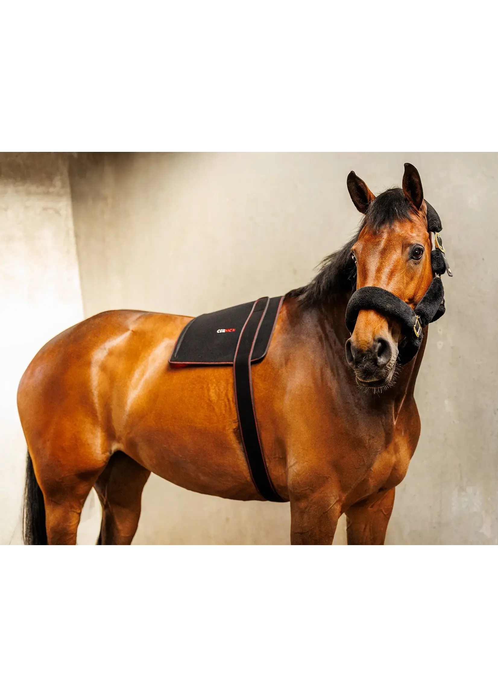 CellKick Combideal Hals Of Rug