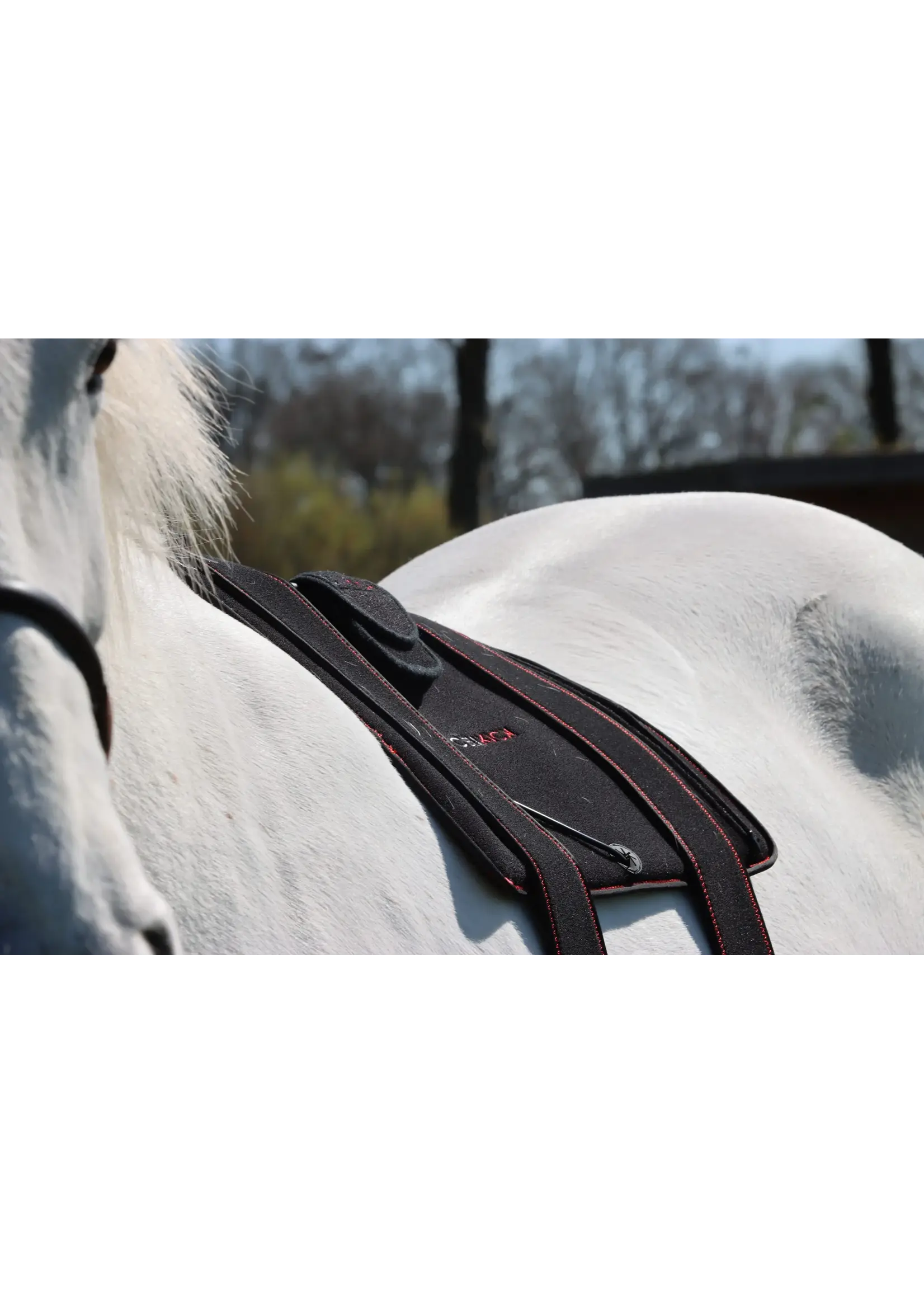 CellKick Combideal Hals Of Rug