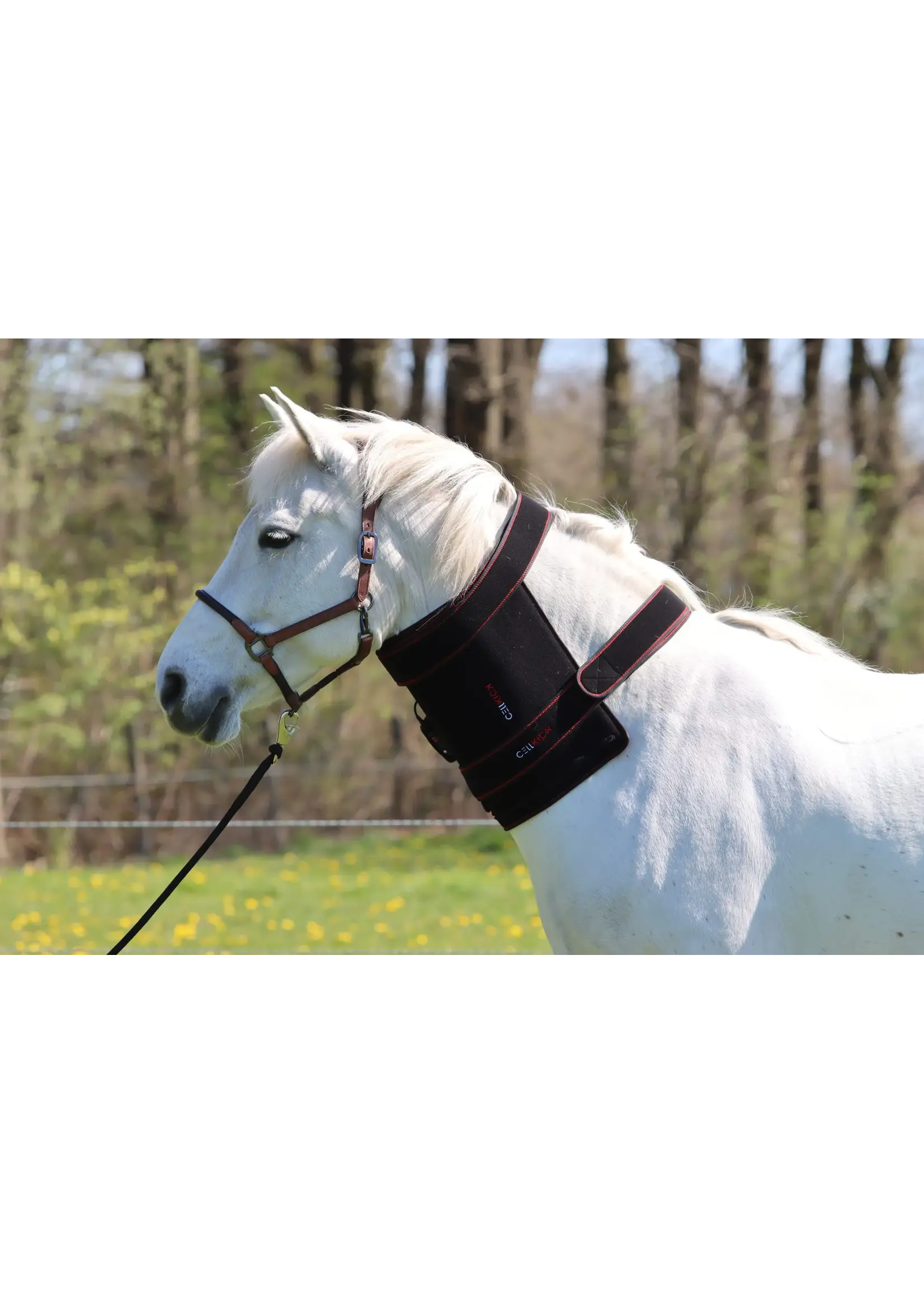 CellKick Combideal Hals Of Rug