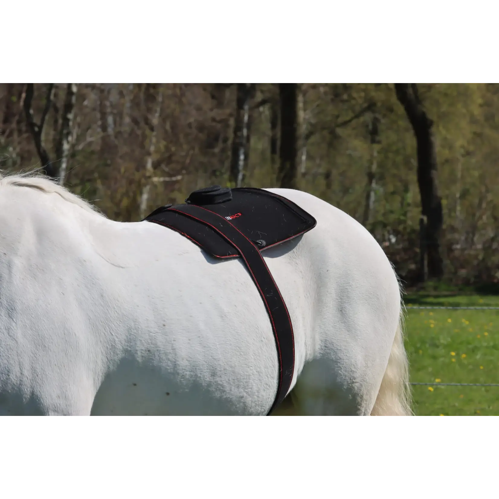 CellKick Combideal Hals Of Rug