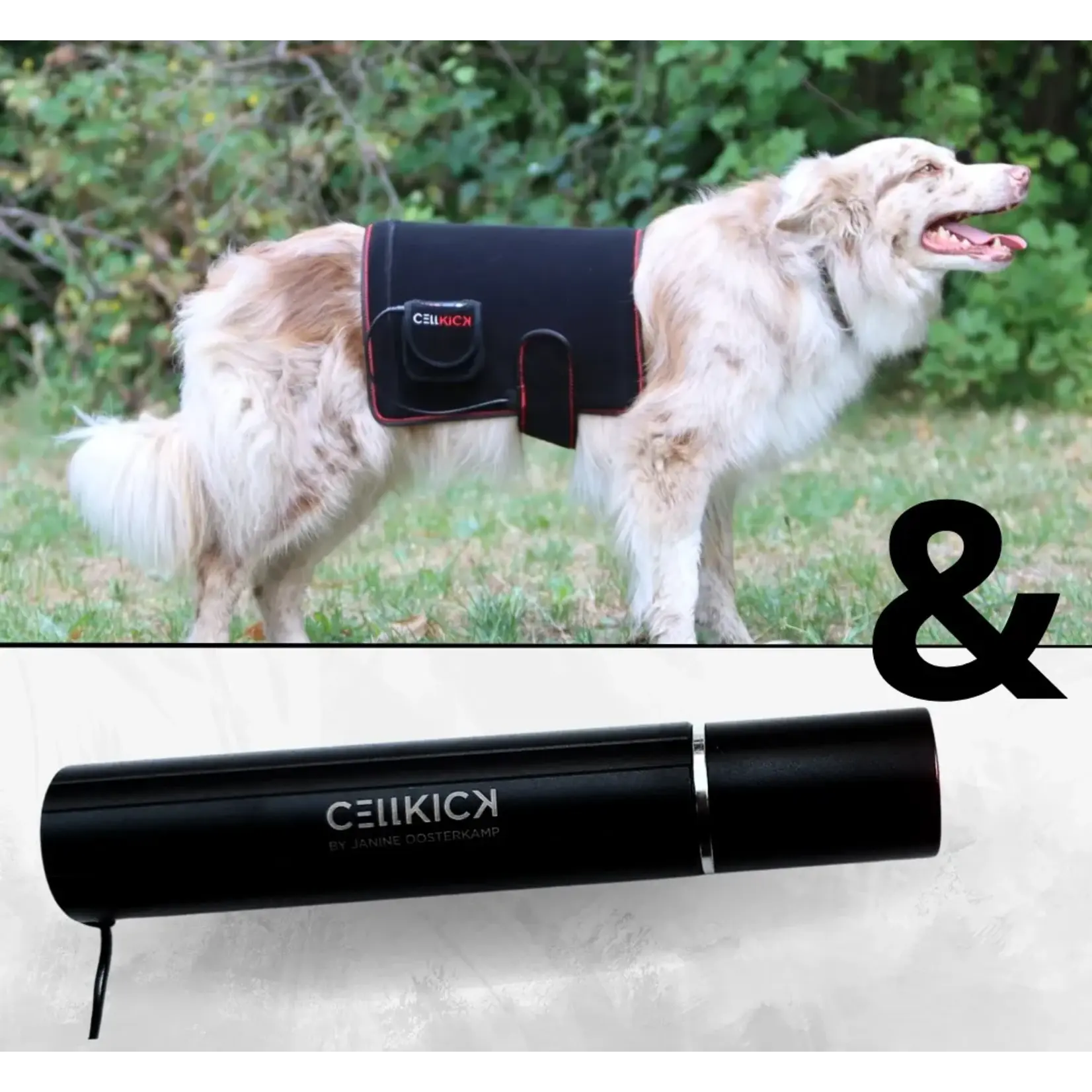 CellKick Combideal Hond