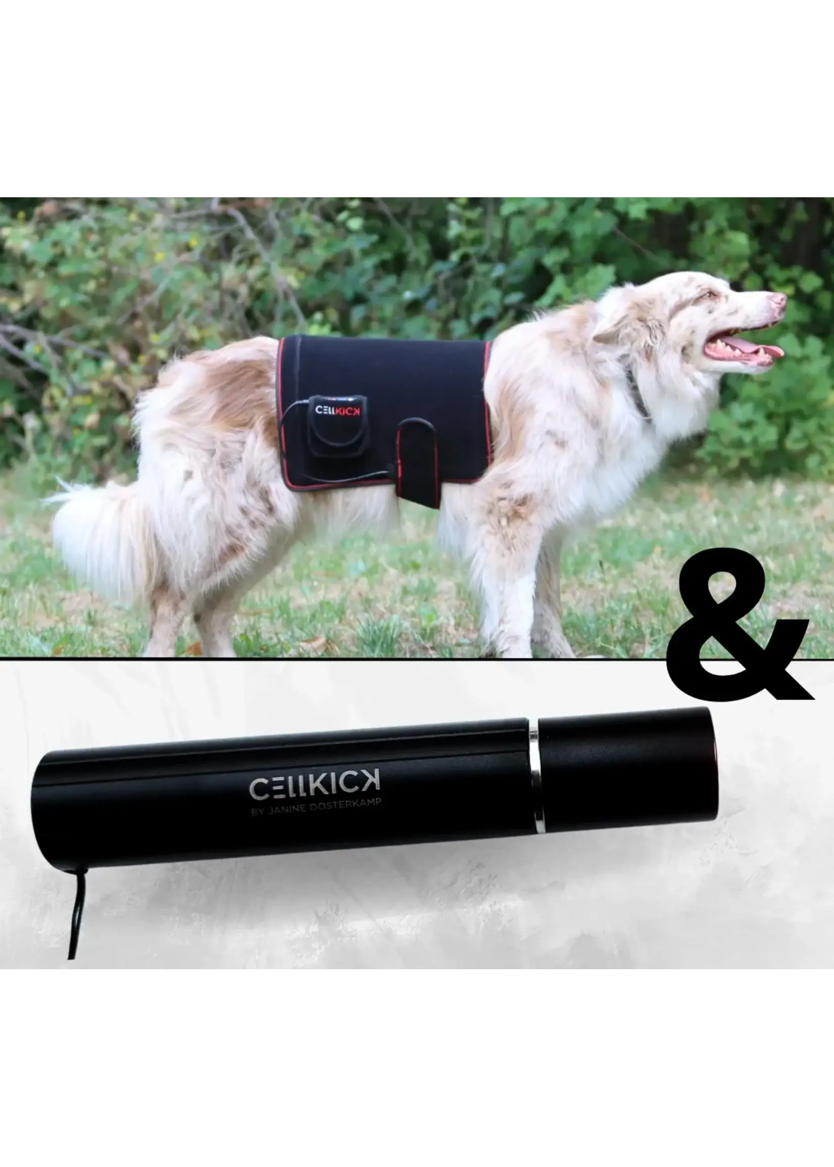 CellKick Combideal Hond