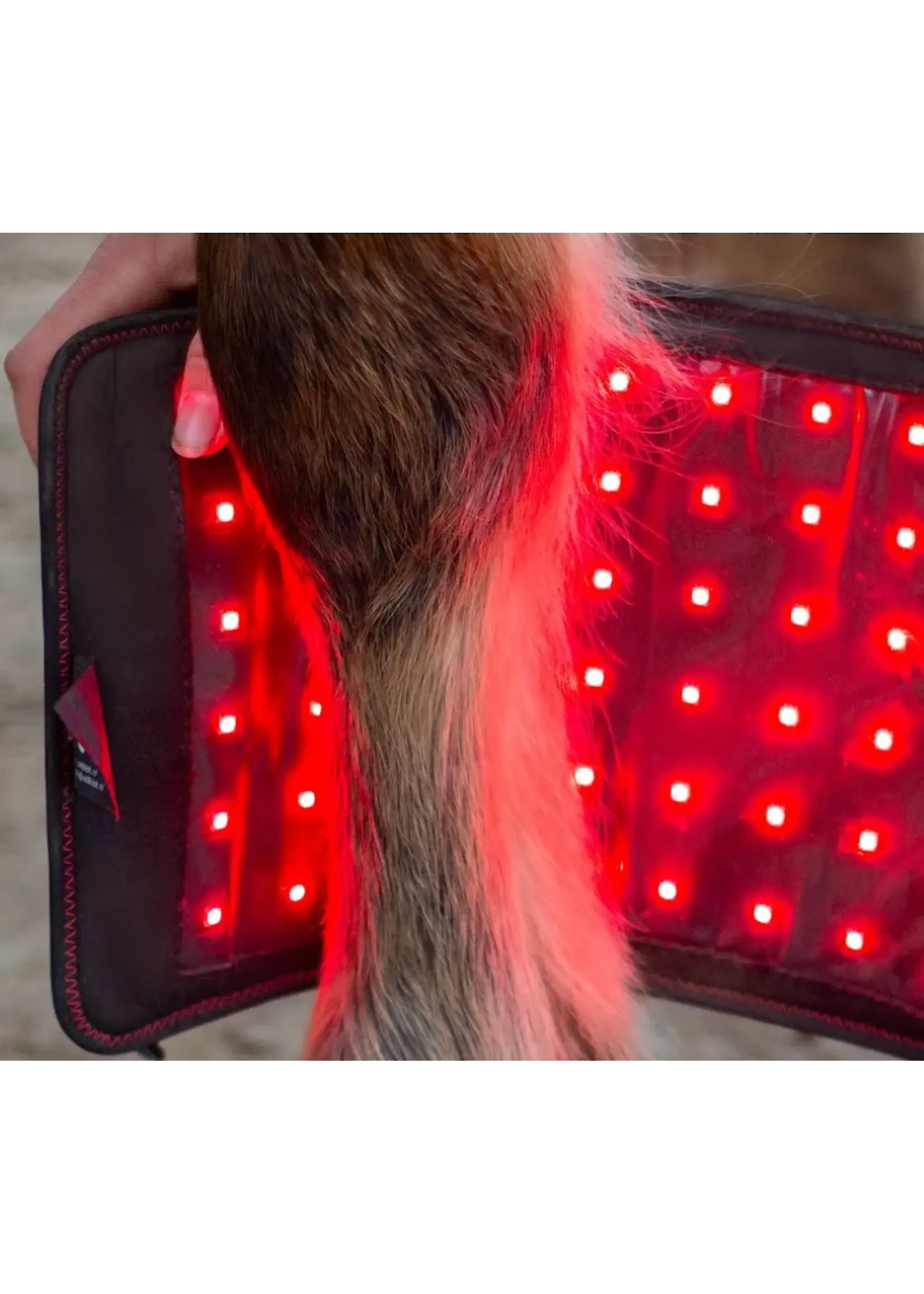 CellKick Binnenpaneel Pro