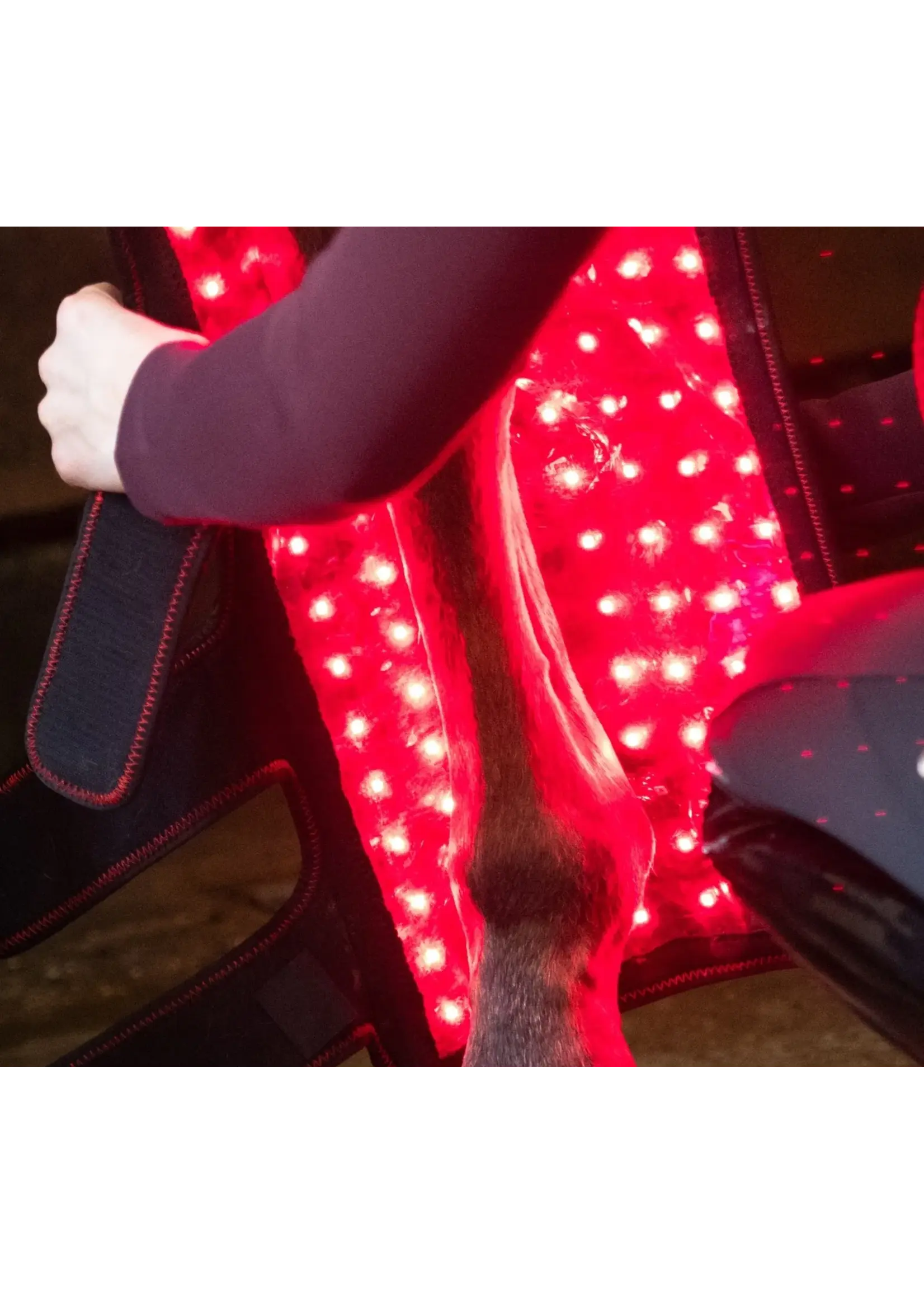 CellKick Binnenpaneel Ultimate