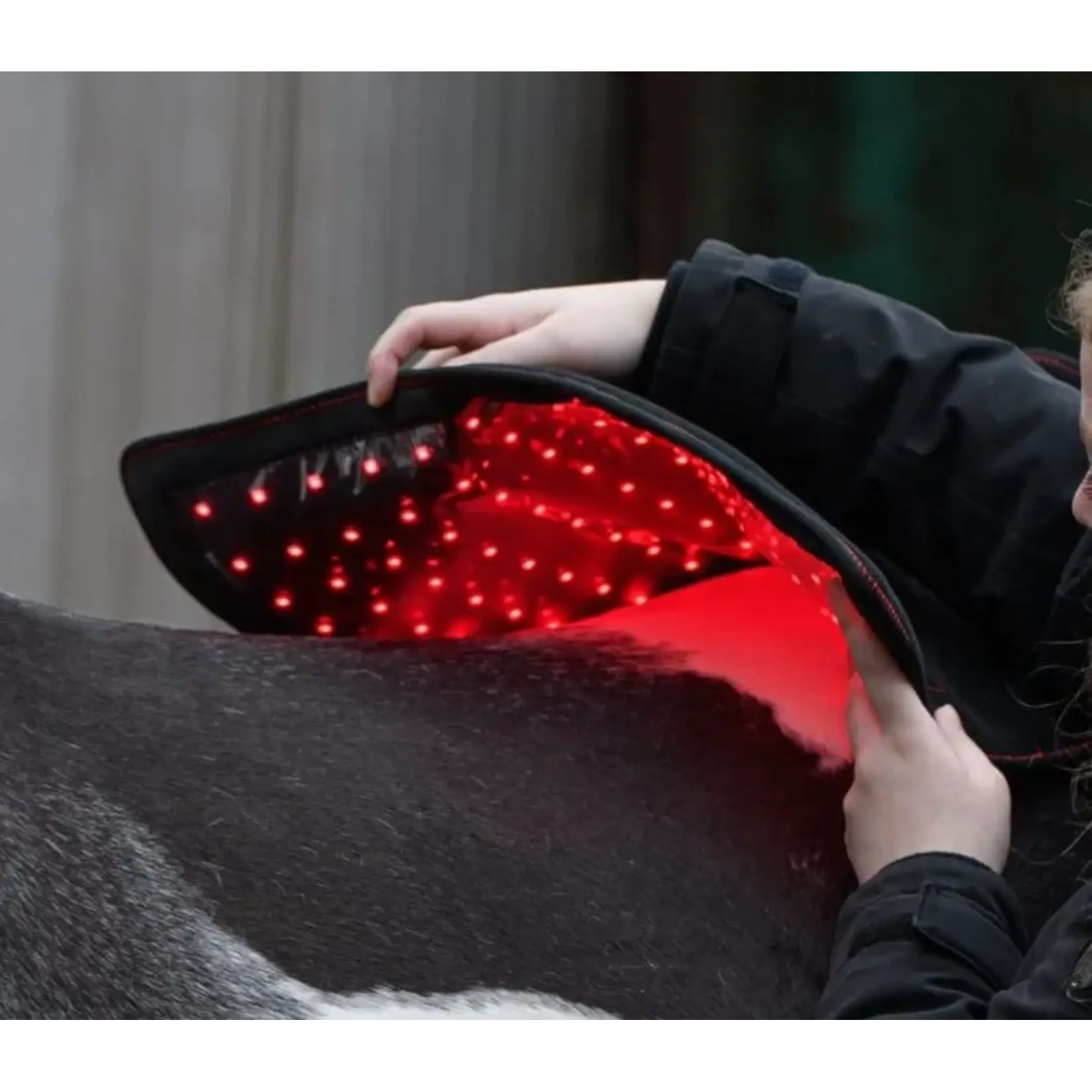 CellKick Binnenpaneel Rug/Hals