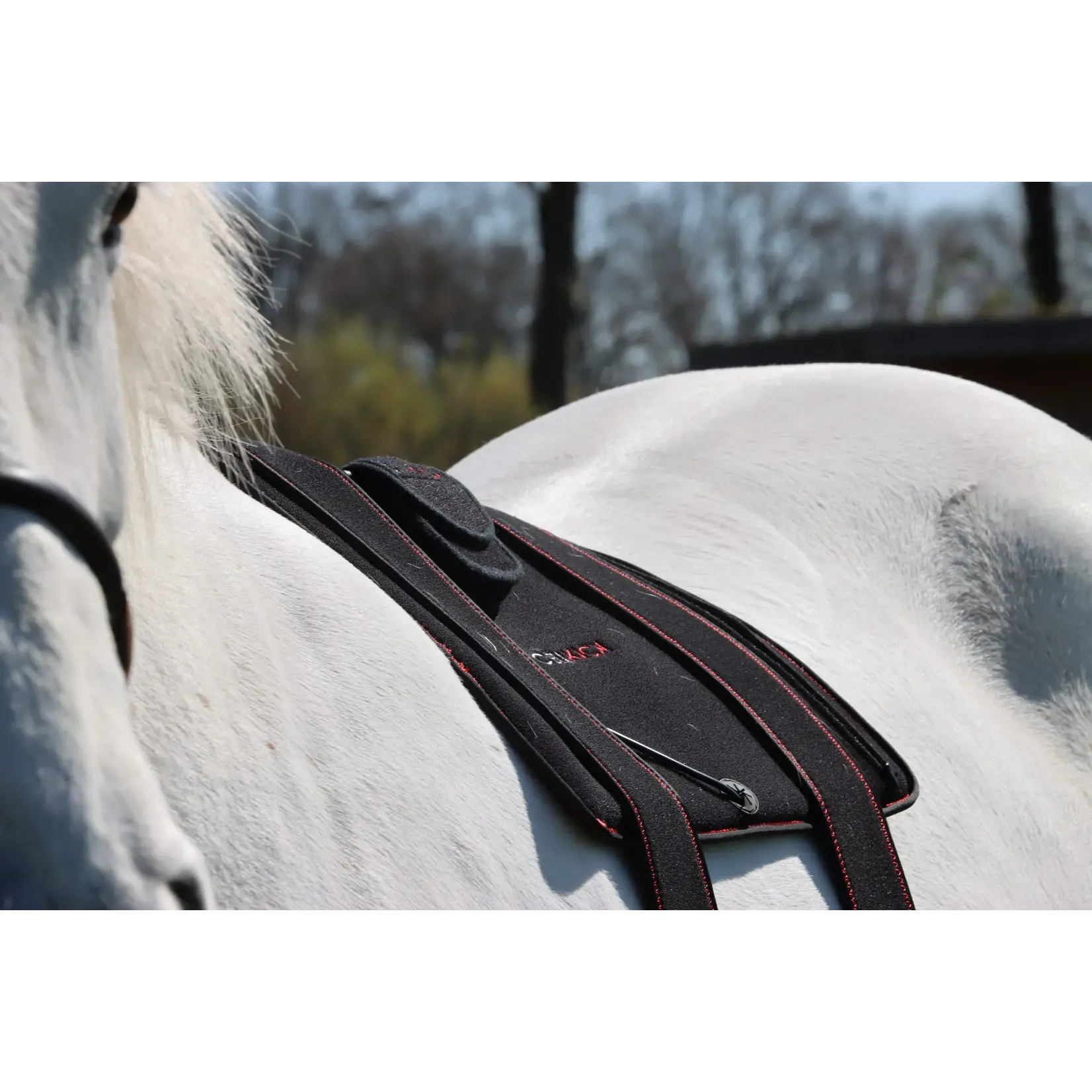 CellKick Bevestigingsstrap