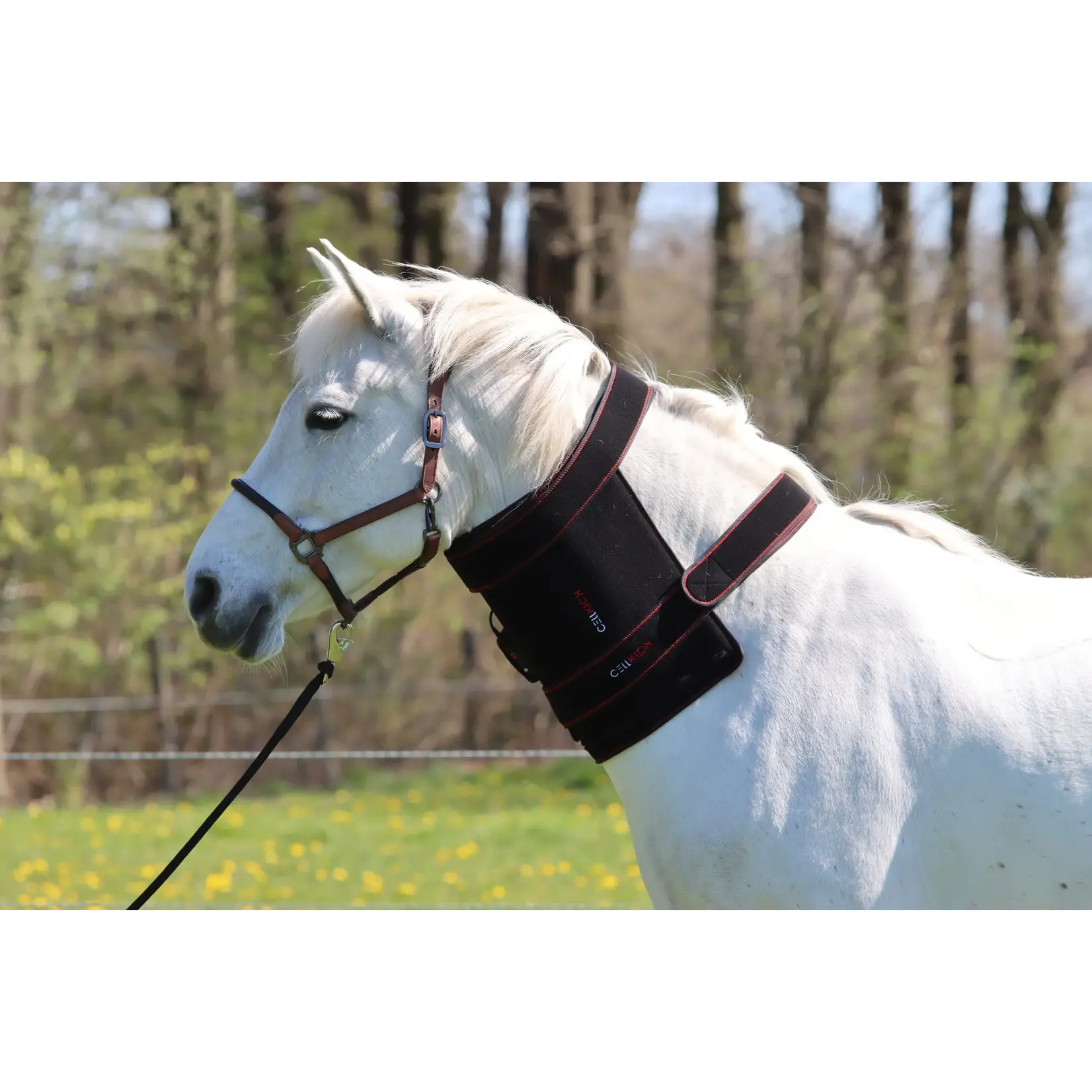 CellKick Bevestigingsstrap