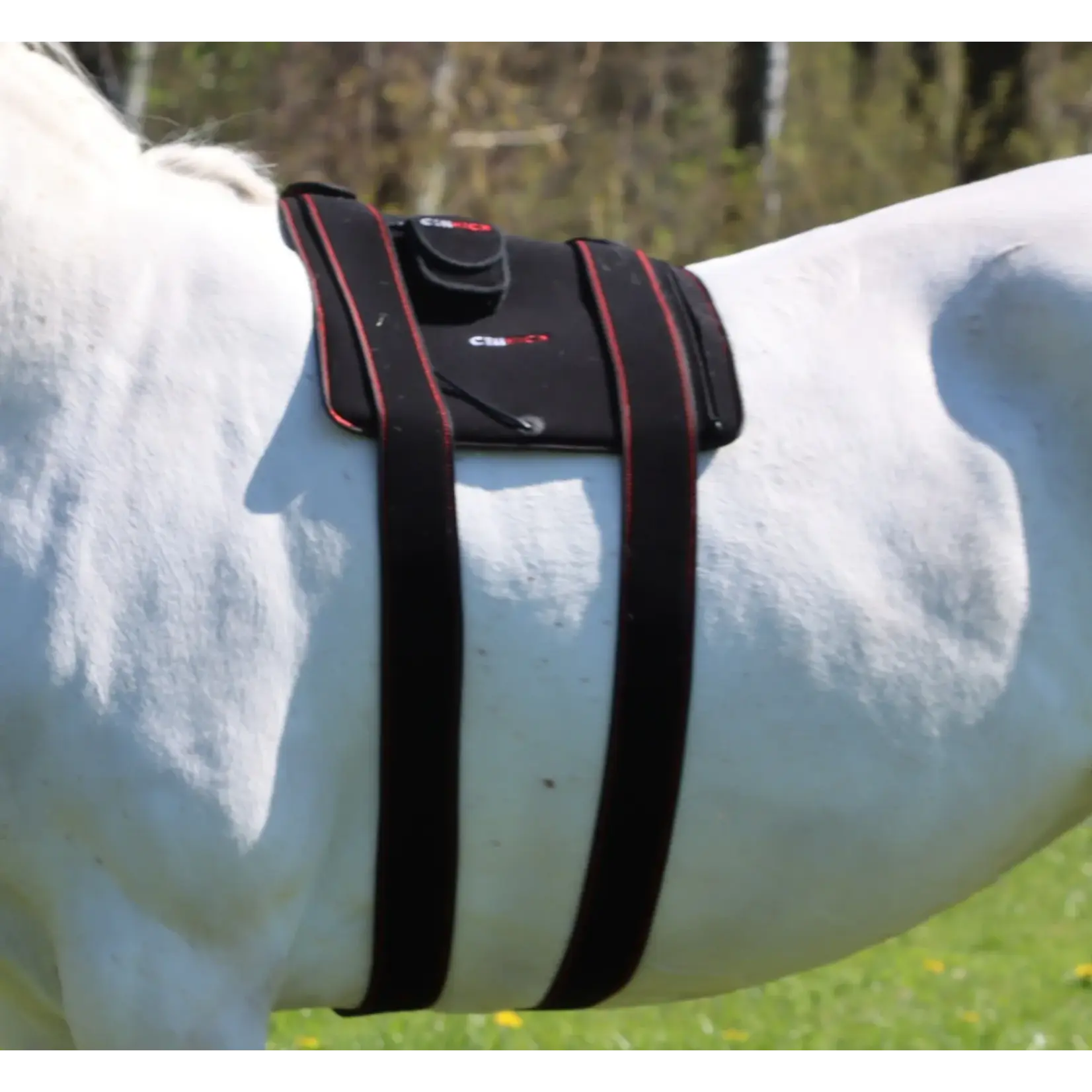 CellKick Bevestigingsstrap