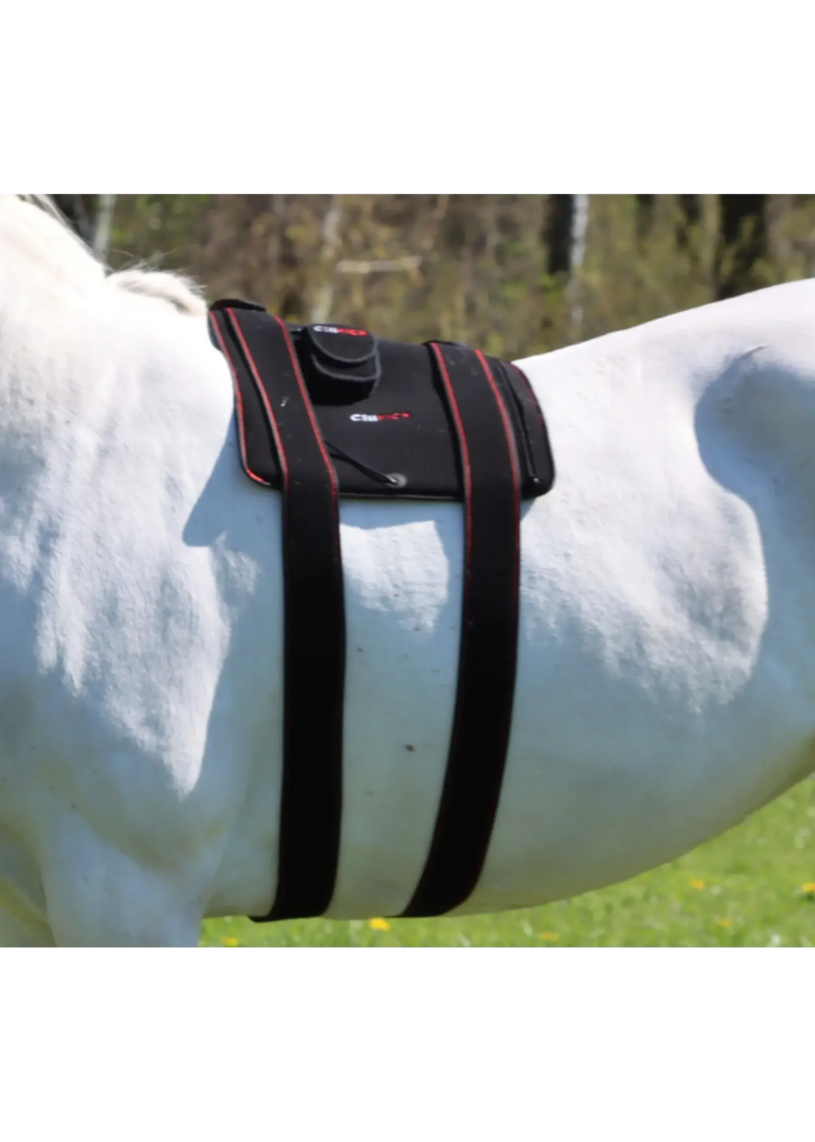 CellKick Bevestigingsstrap